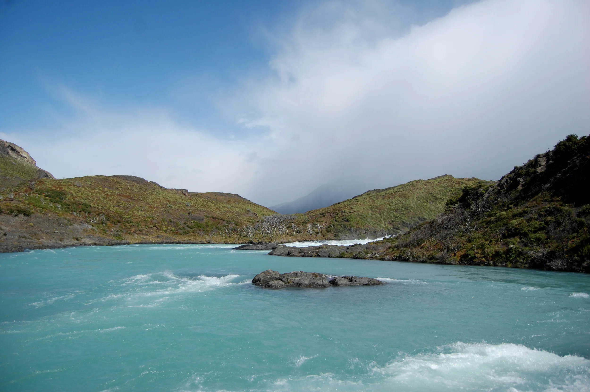 DSC_1275.jpg