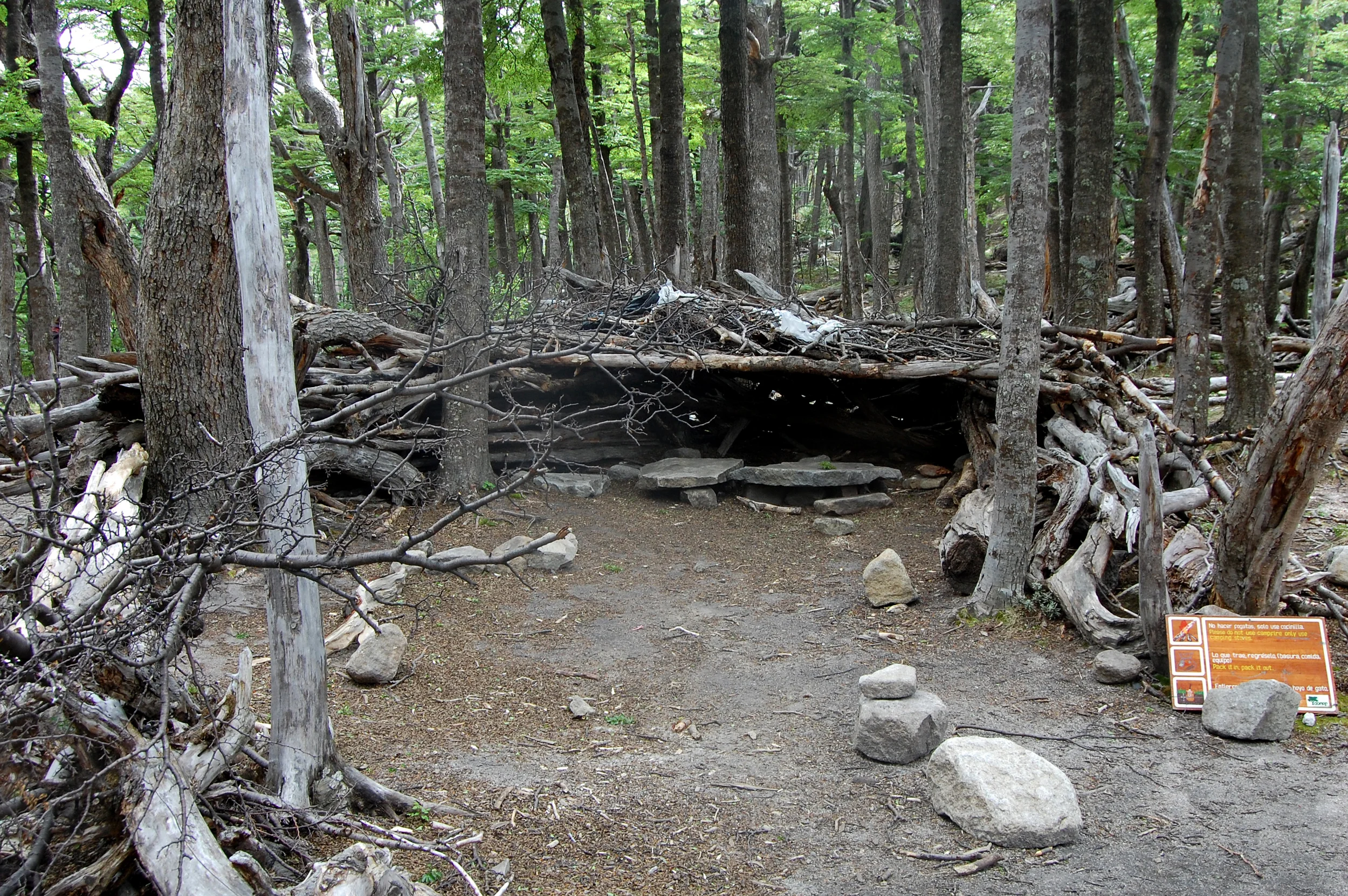 DSC_1466.jpg