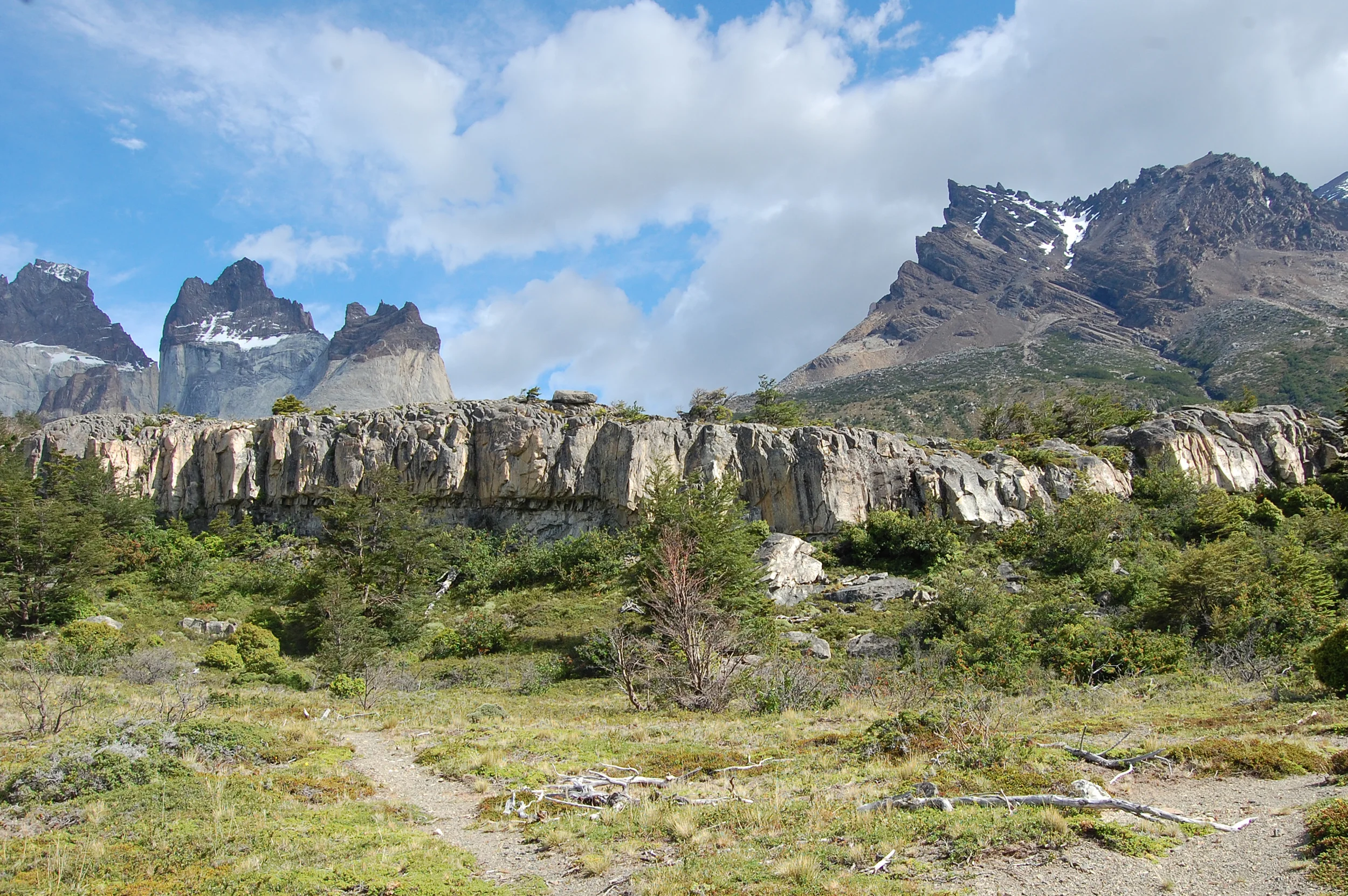 DSC_1579.jpg