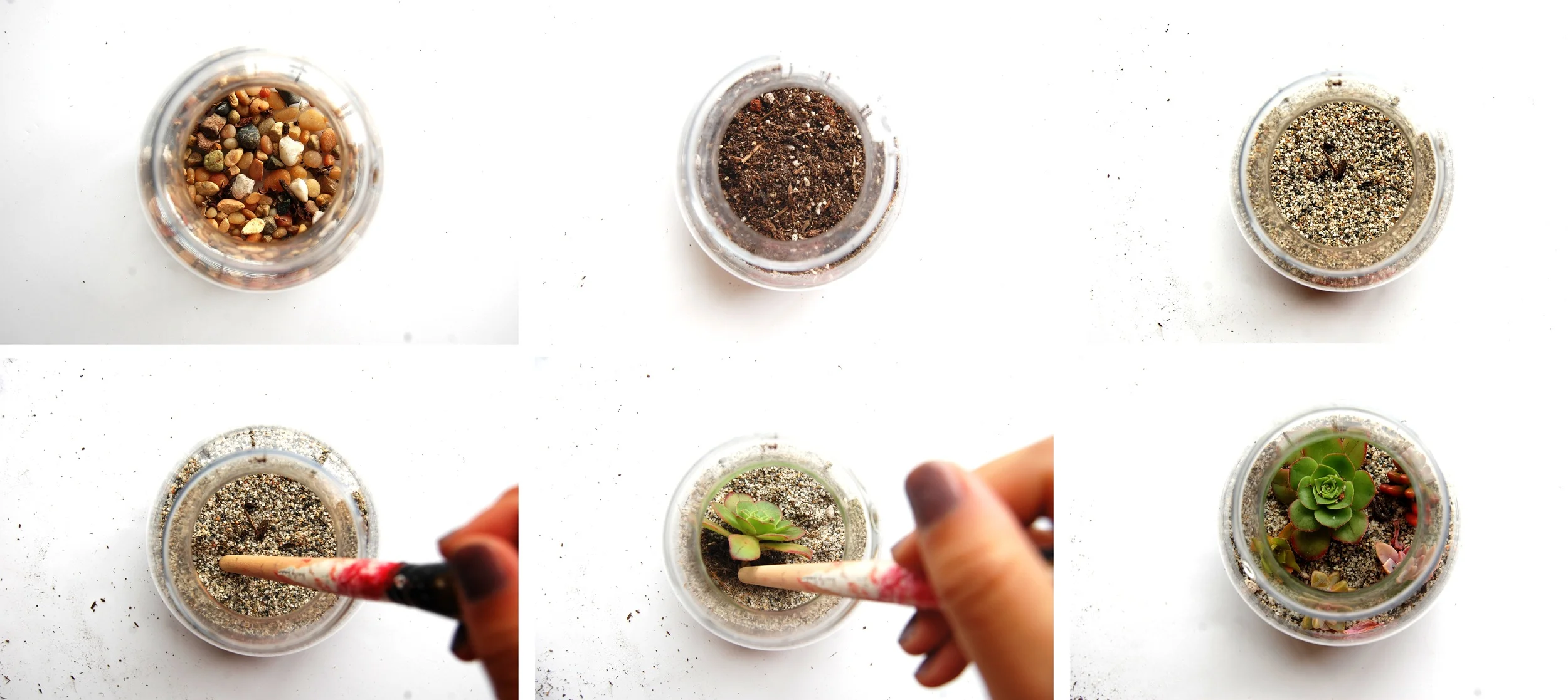 SucculentTerrariumSteps.jpg