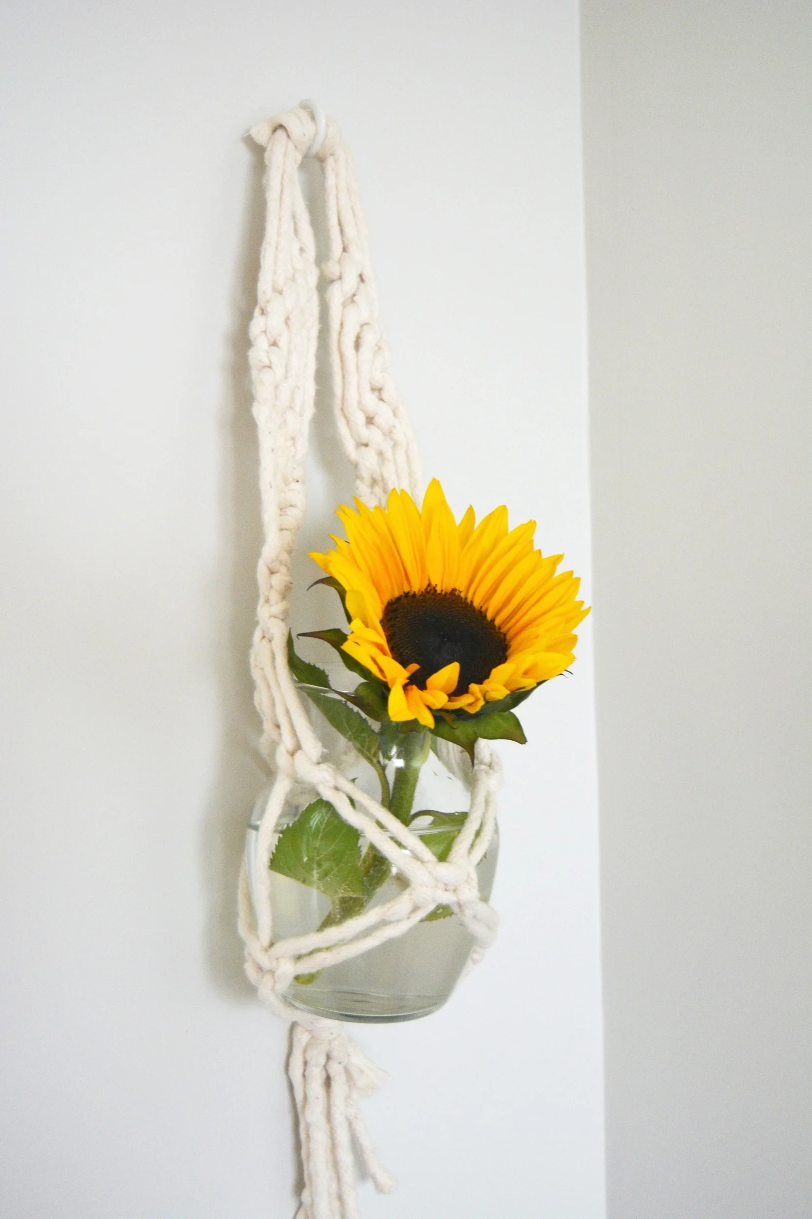 Hanging Macrame Planter.jpg