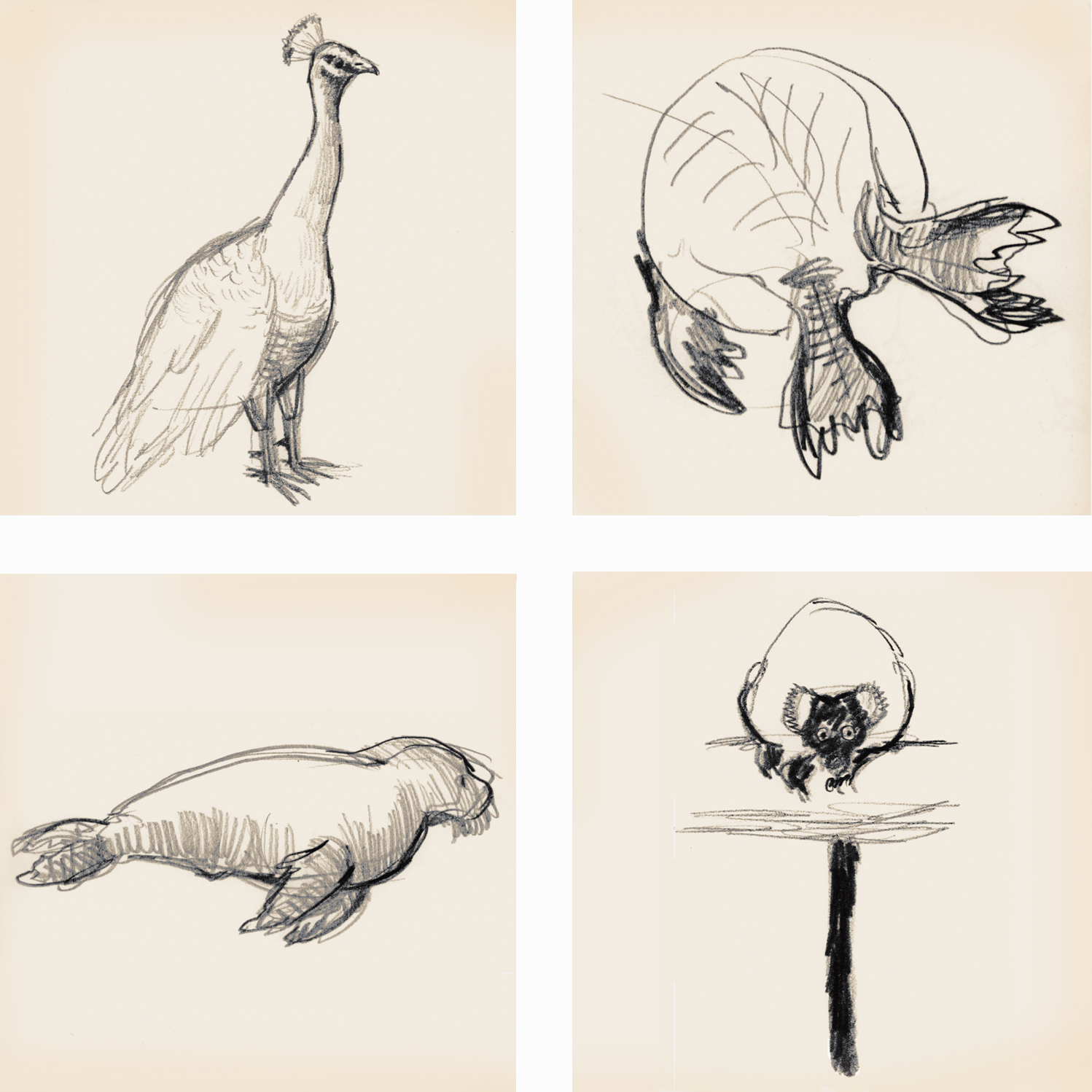 Central Park Wildlife Center, 2008; New York Aquarium, 2009