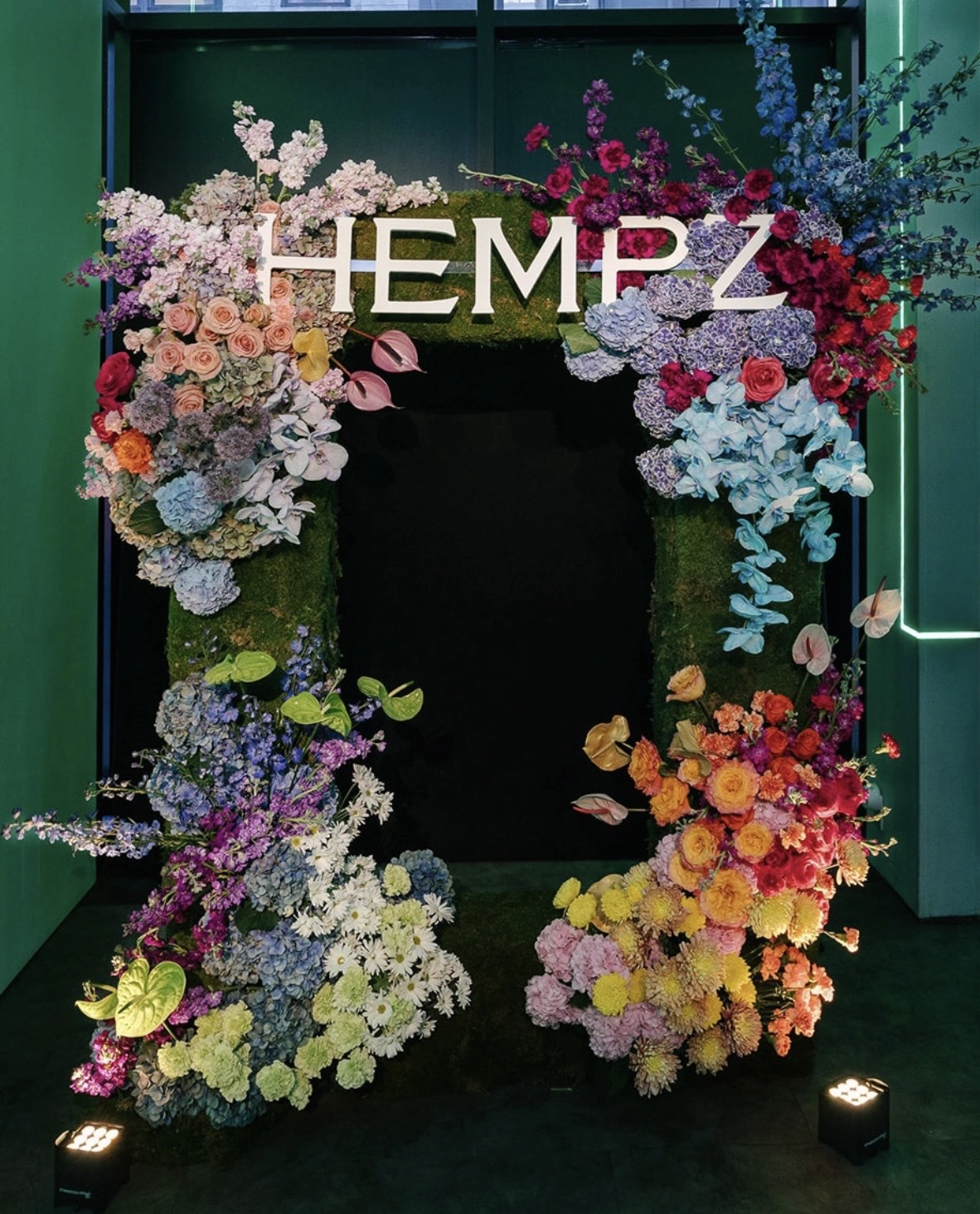  HEMPZ rebrand celebration 
