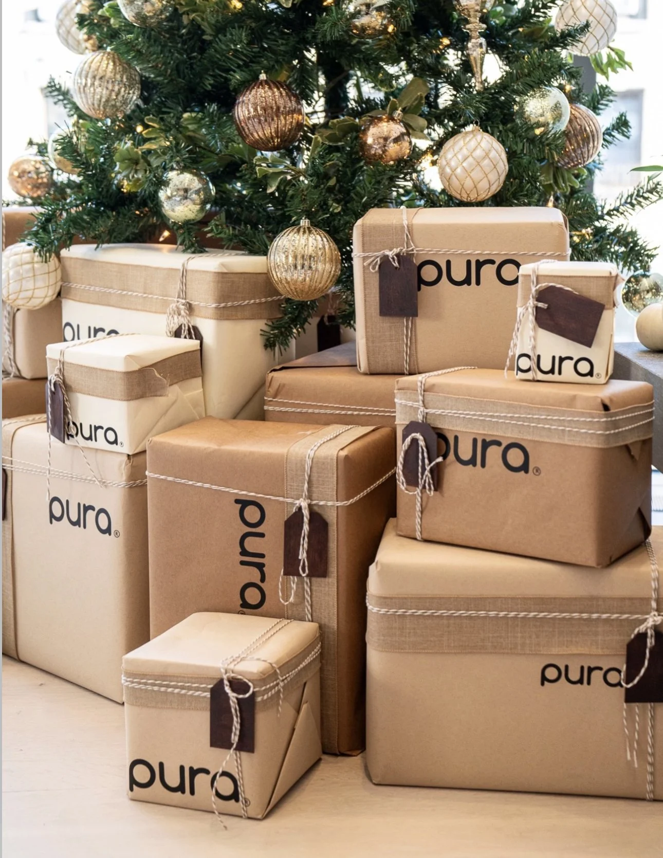  Pura 