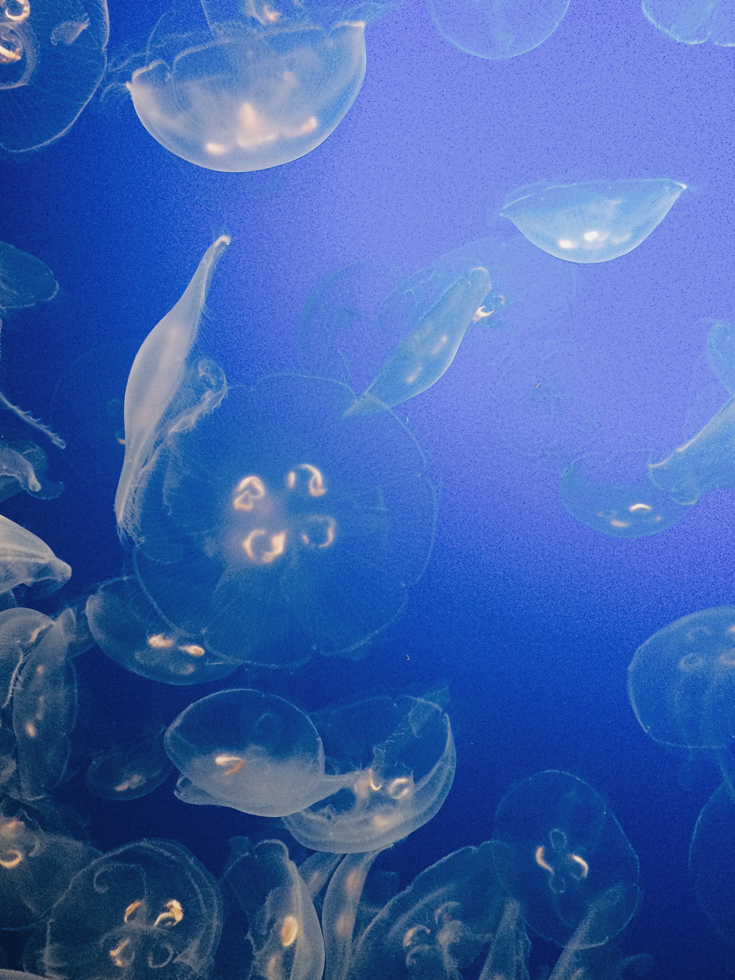 F412AB44-E682-4D51-A701-8064FFE47E32.jpg