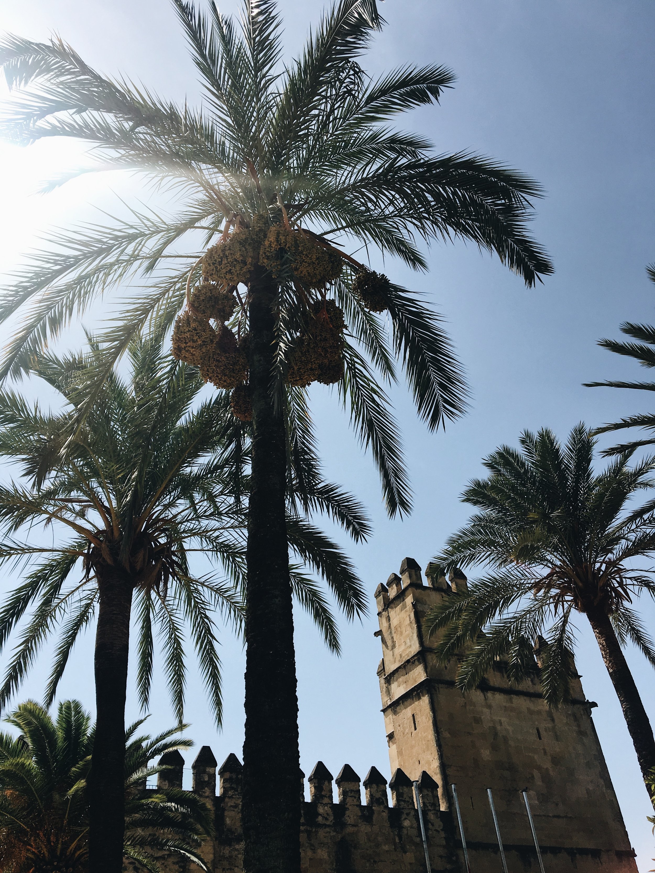 Córdoba, Spain