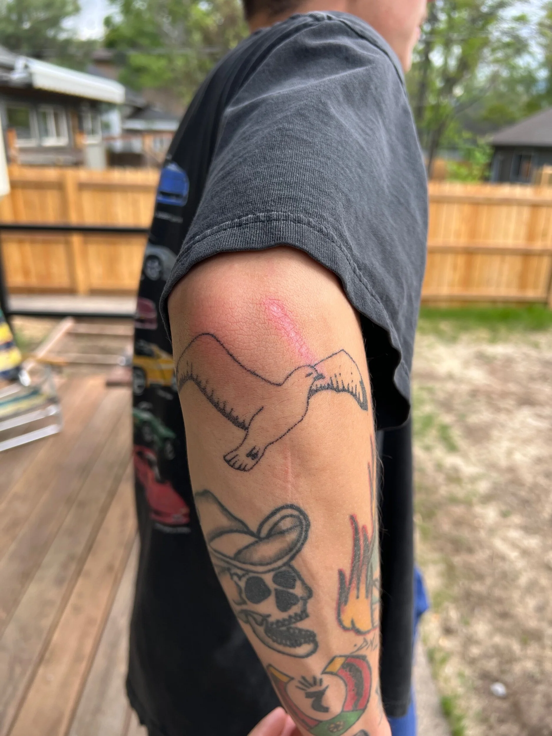 BF6E762D-9044-4098-98C2-E52DDF3084B6