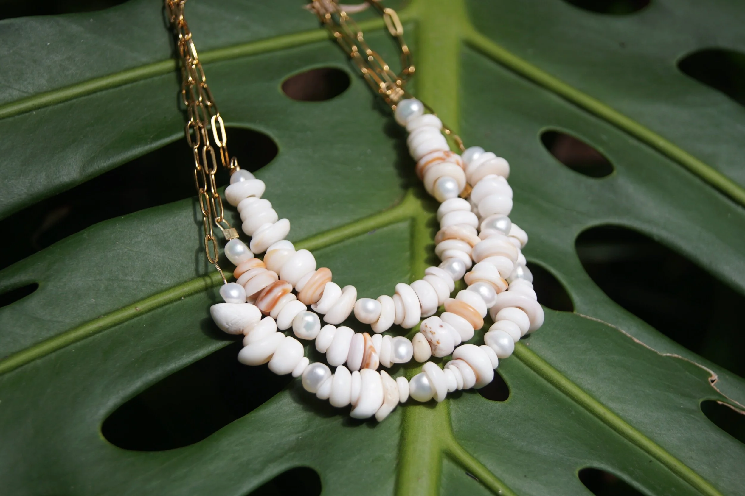 F73DA147-AD73-44B0-A12F-2C86C939E165