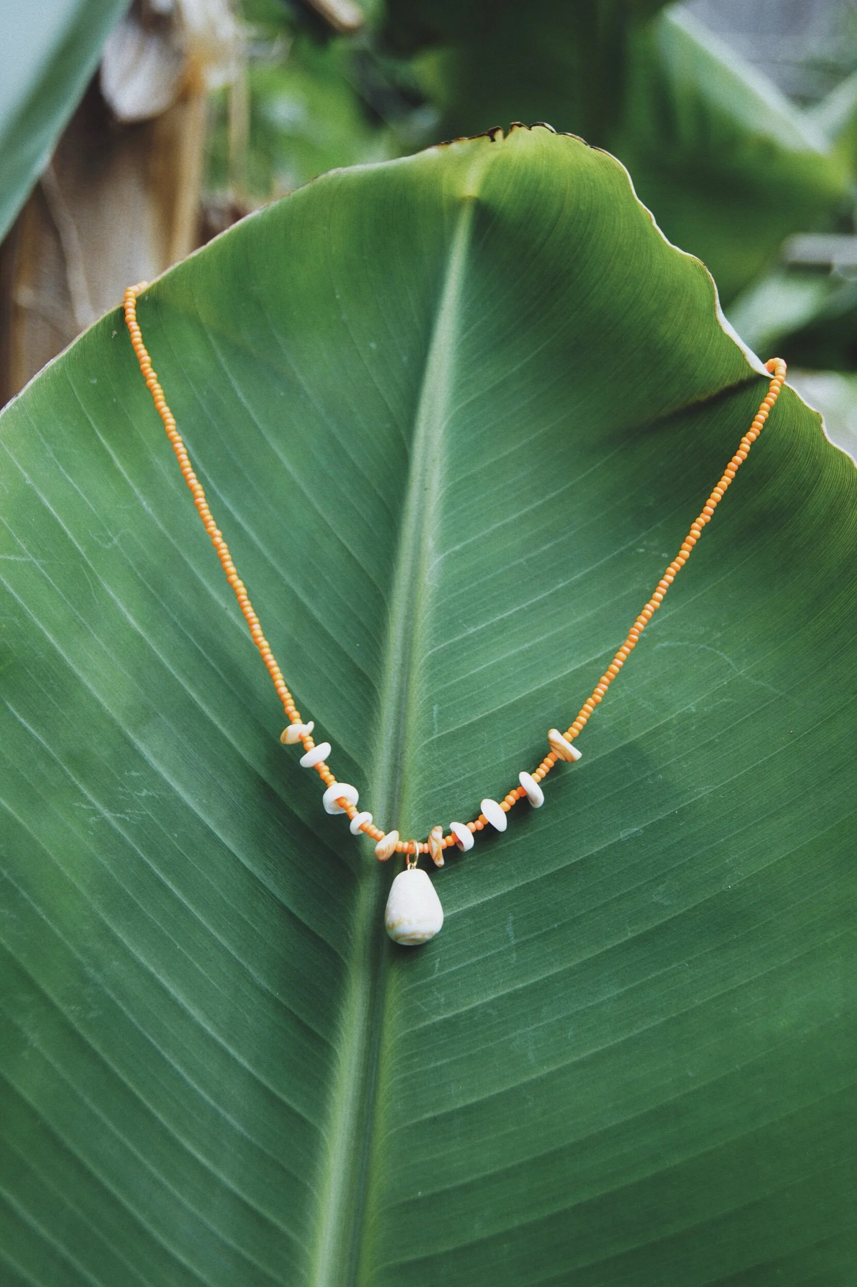 2B7B0583-72C2-489D-9D86-7DCA79411034