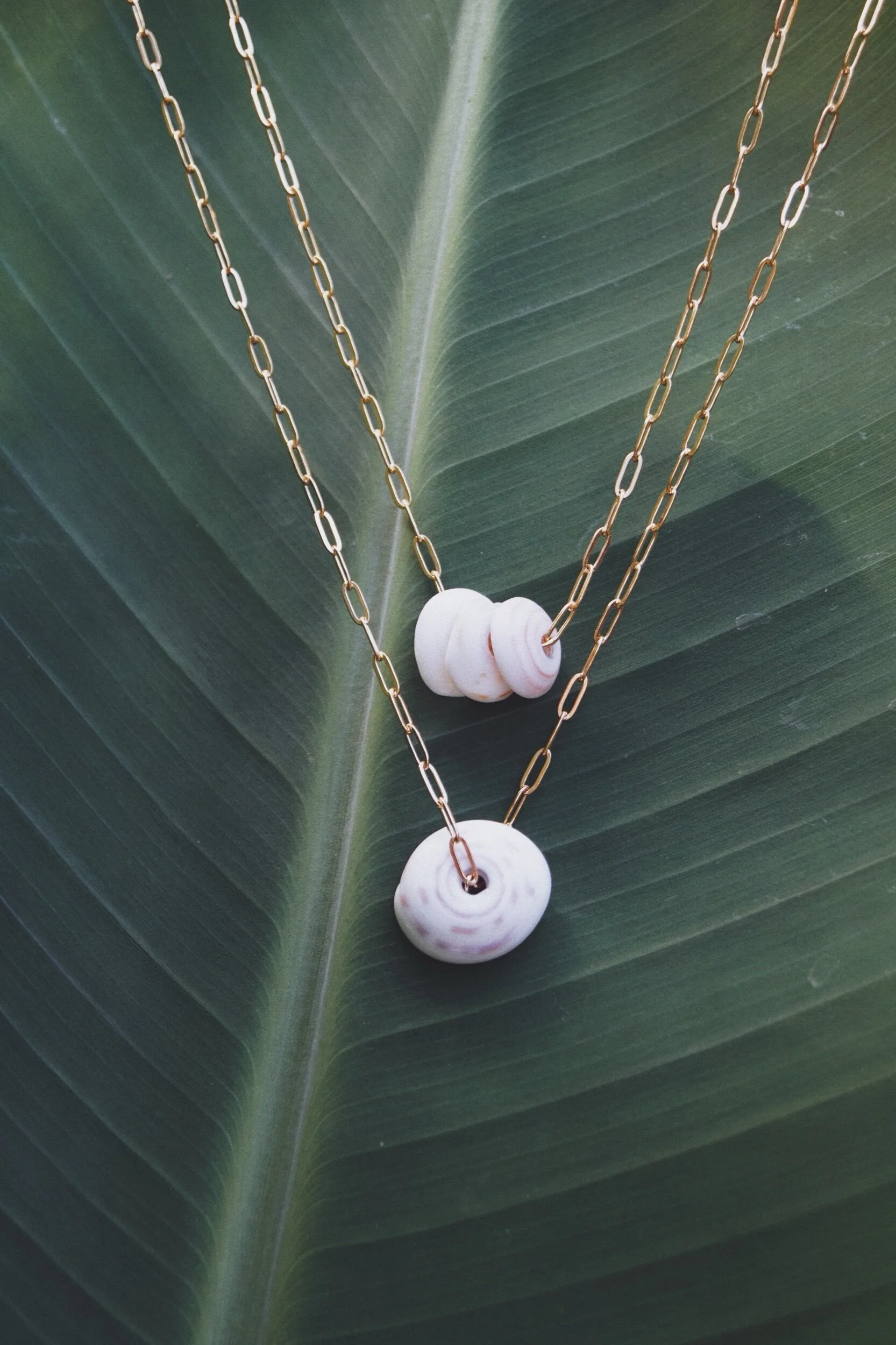 F484502F-F04A-45BC-A70B-1E5CA21CC236