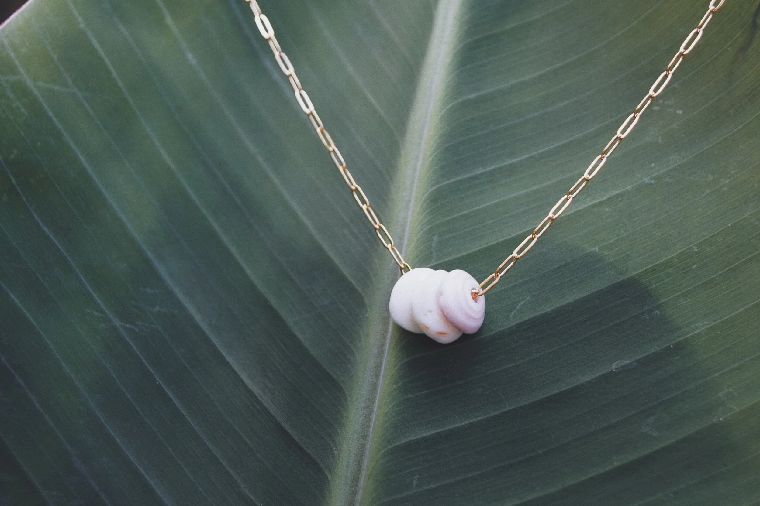 F50DCB1A-6750-4B39-9FA0-5A8BA71247B8