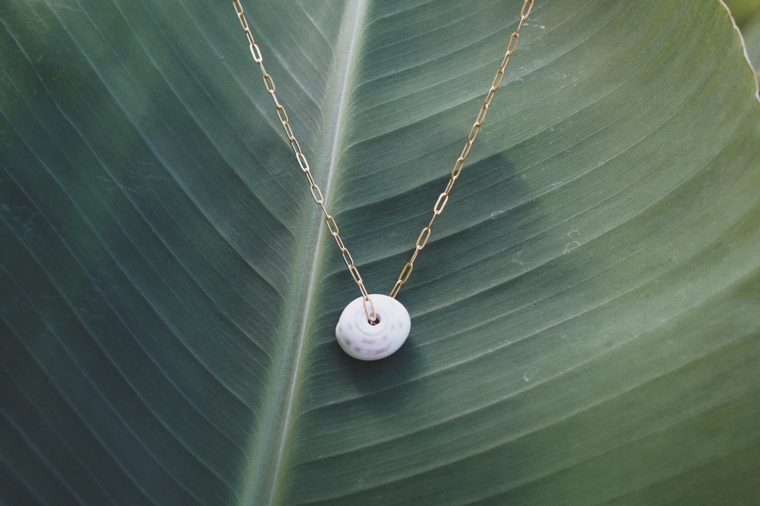 2B1DC82E-4BEF-46A8-885F-D1D5292616CF