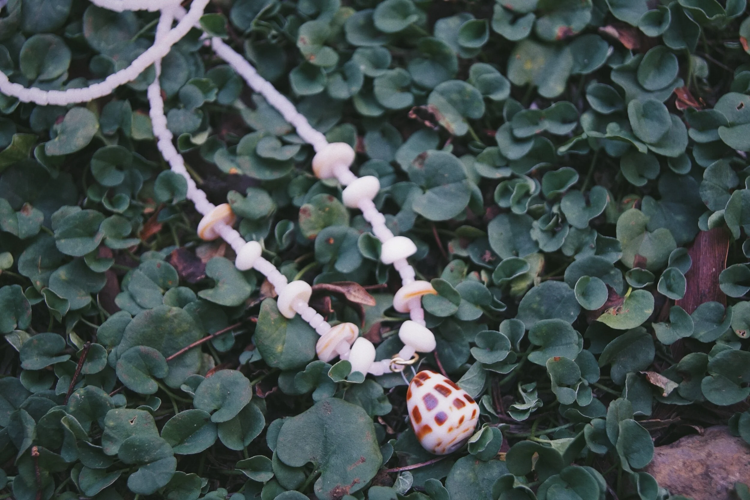 7D7B1B67-A29B-42BA-B542-E4B06264CBFF