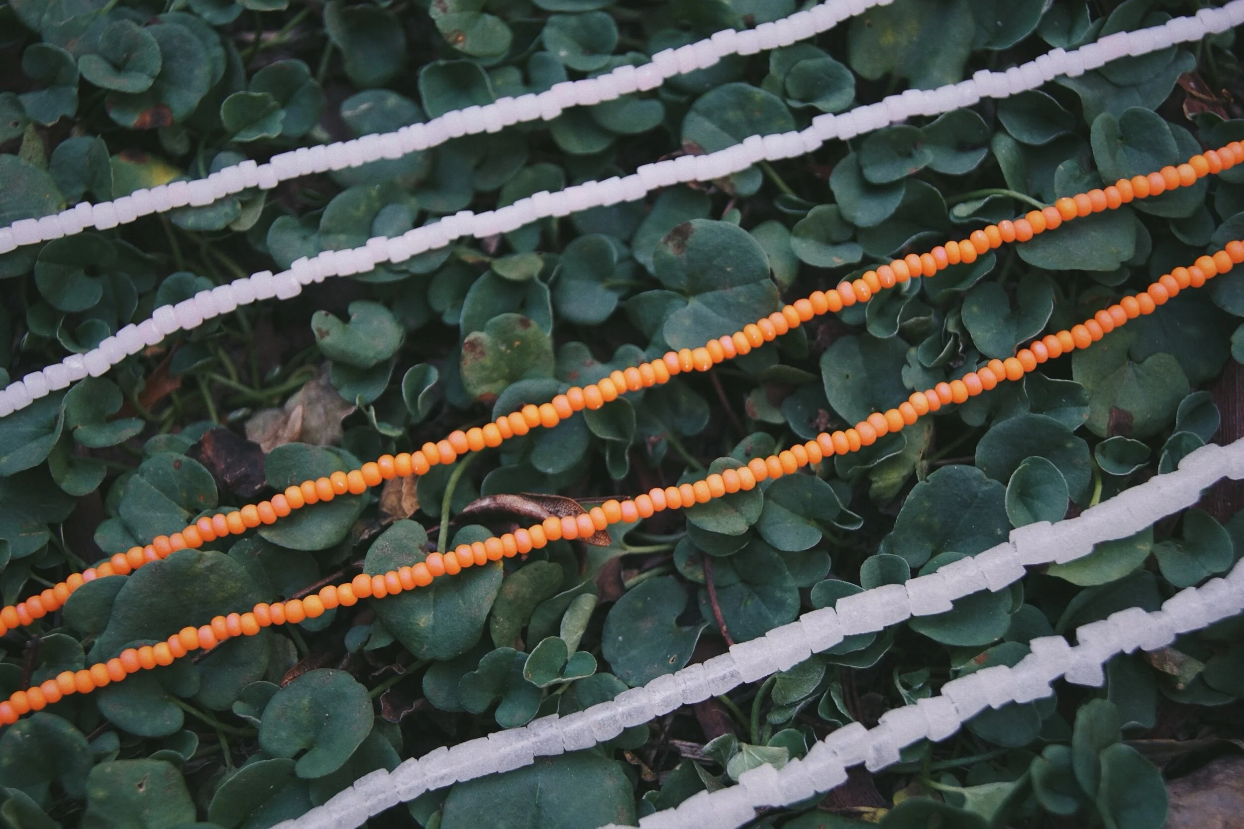 D1CE1271-44A5-4BC3-BDD8-C0167357347C