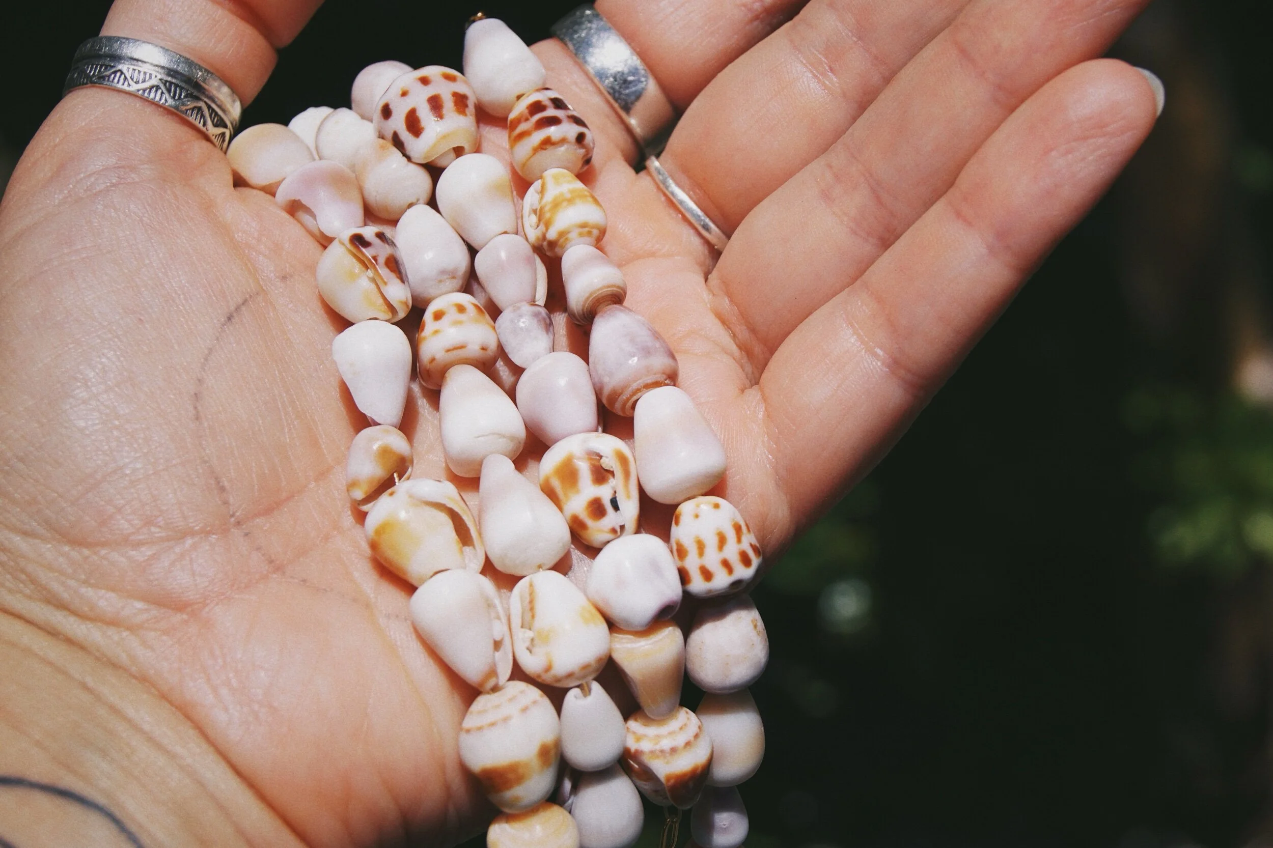 B230E3BA-BB09-4A0B-9B14-FF7948EF7010