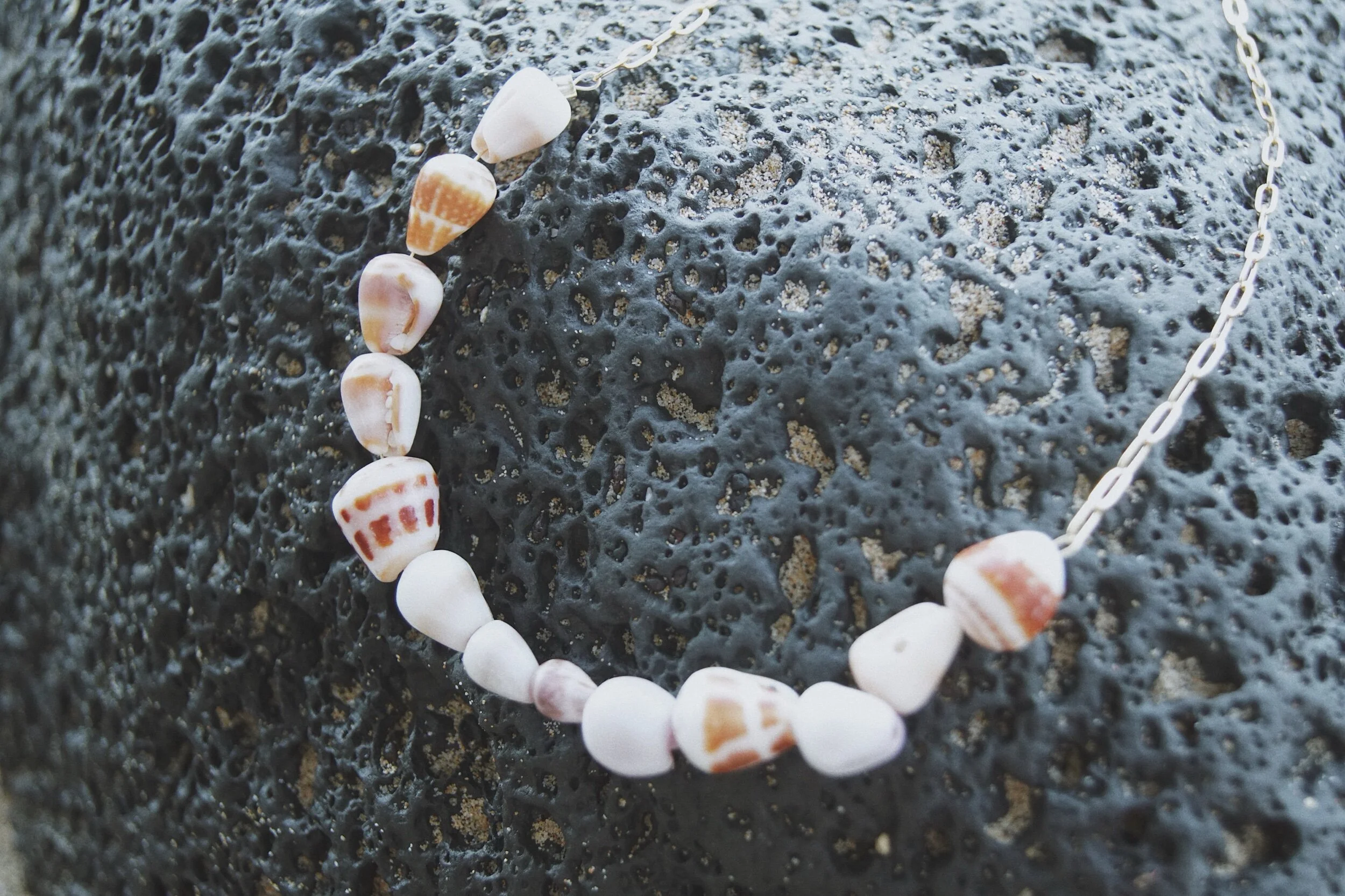 F1799EF6-0662-49F4-8748-F3AF2DF20663