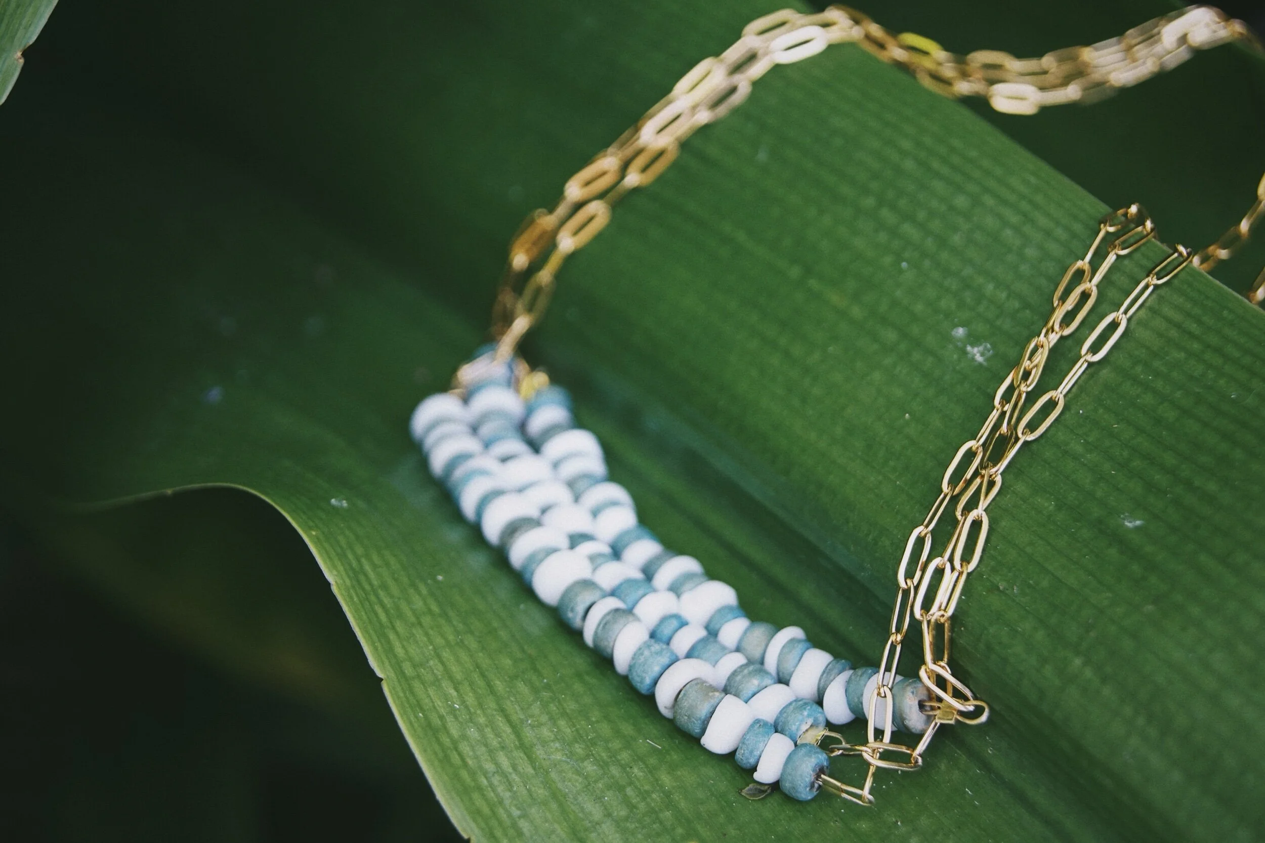 DF009894-2BAF-4DAB-B390-061CE6D561BE