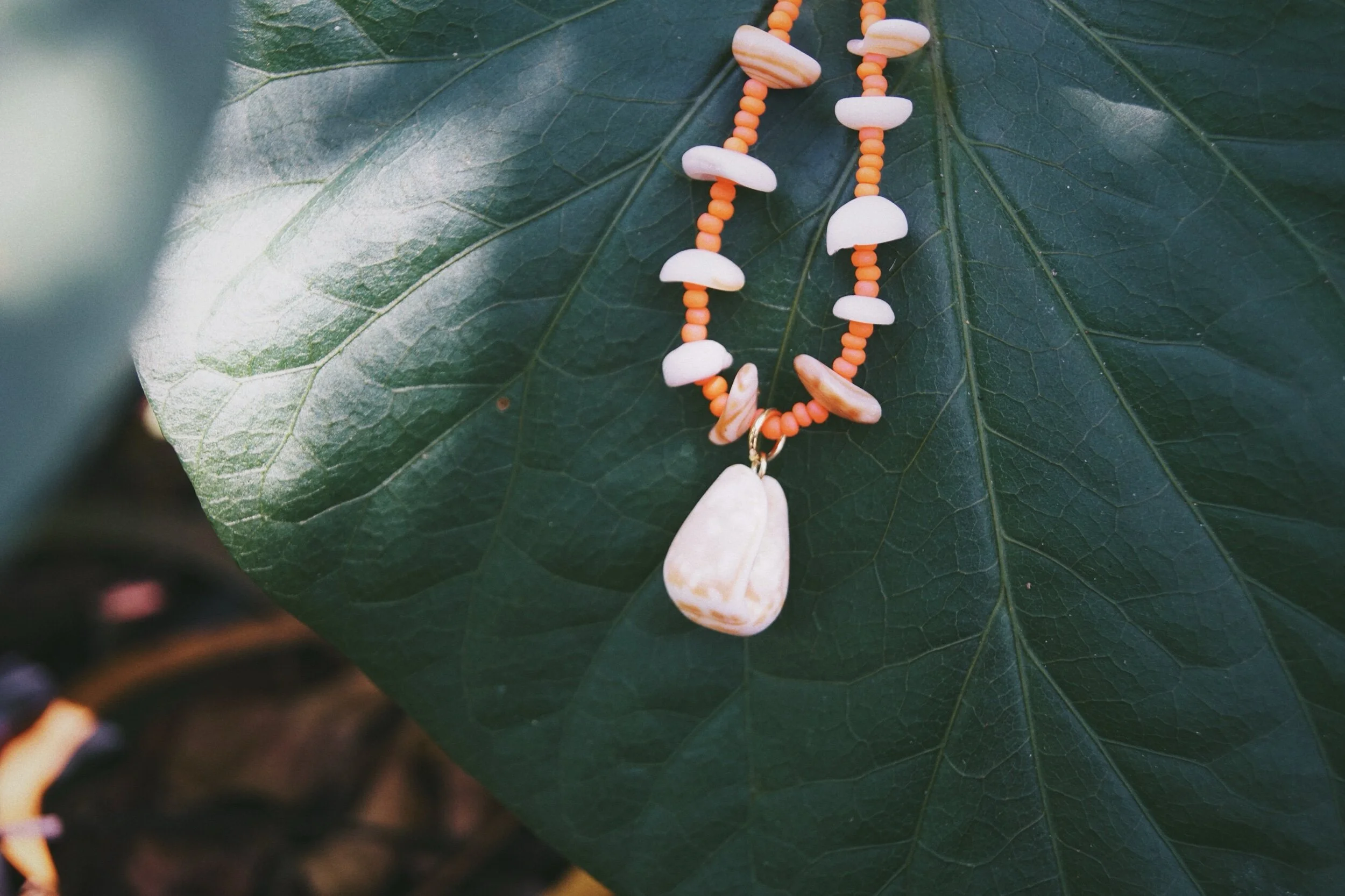 5DE851A6-C96C-42B8-A801-69A1824A2D82