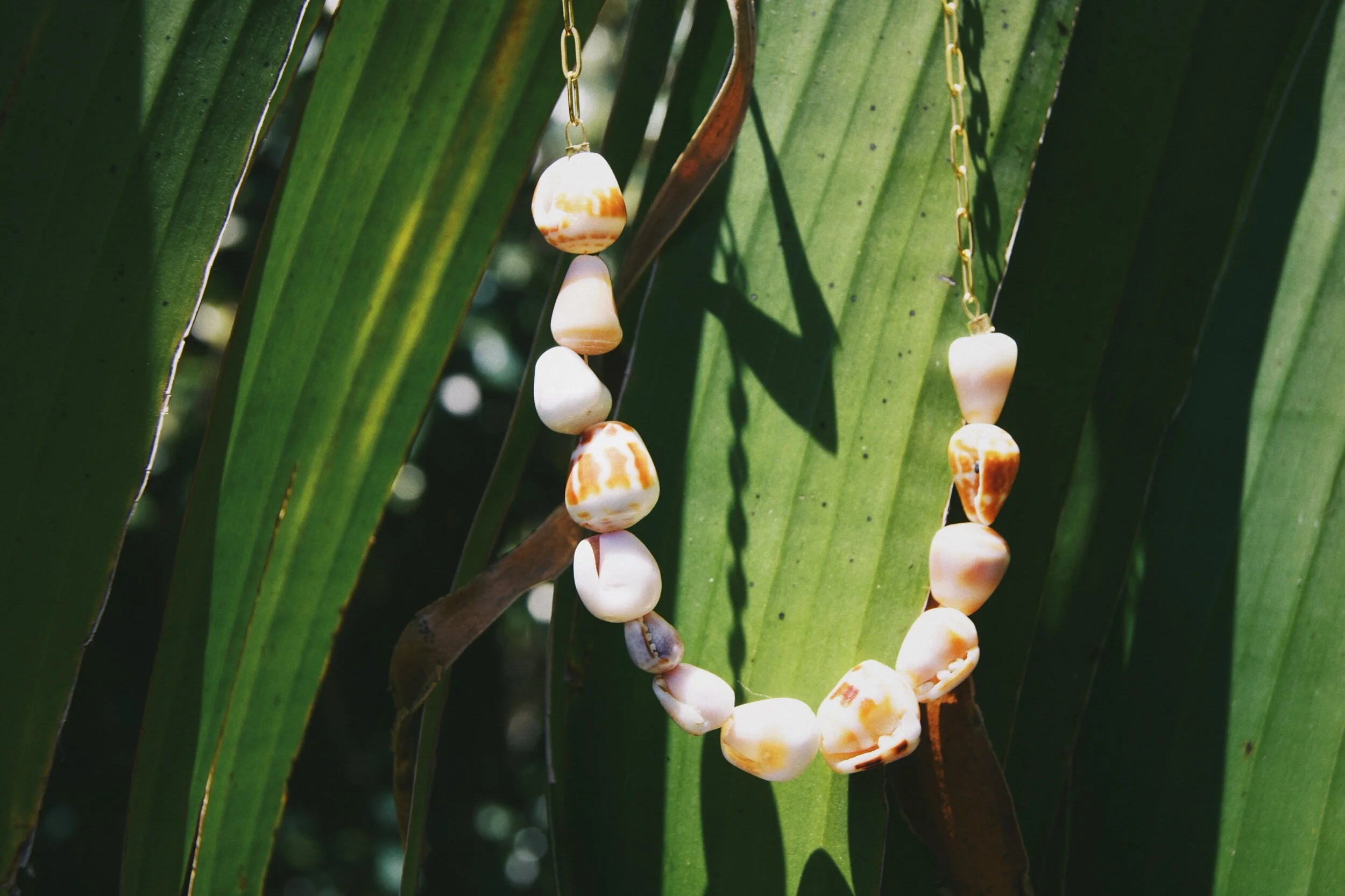 B120CACB-64AC-4128-A613-746C5CDE34EC