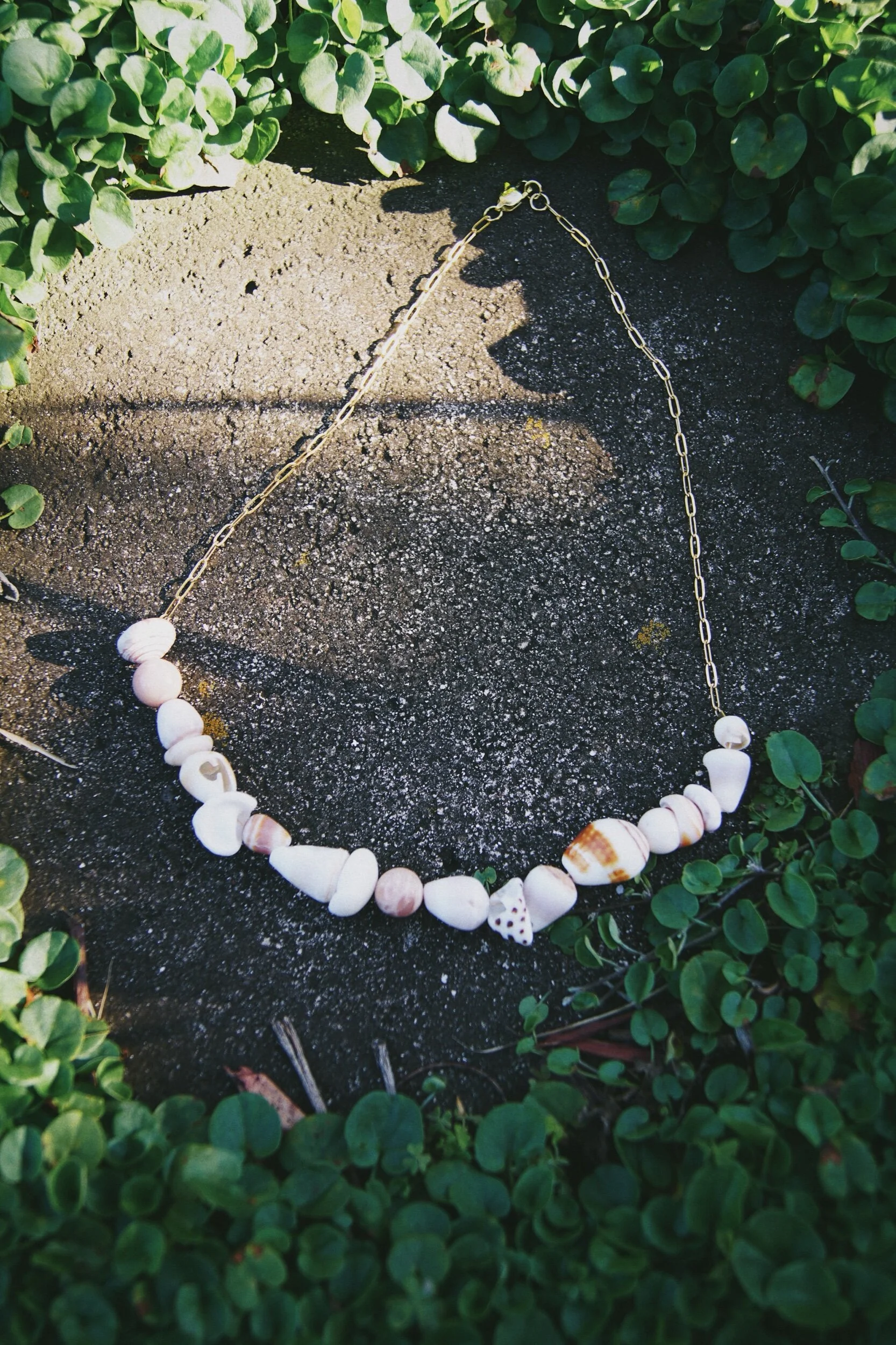 4393463A-EFC6-4E0B-8E4F-C8F19DC5C8A3