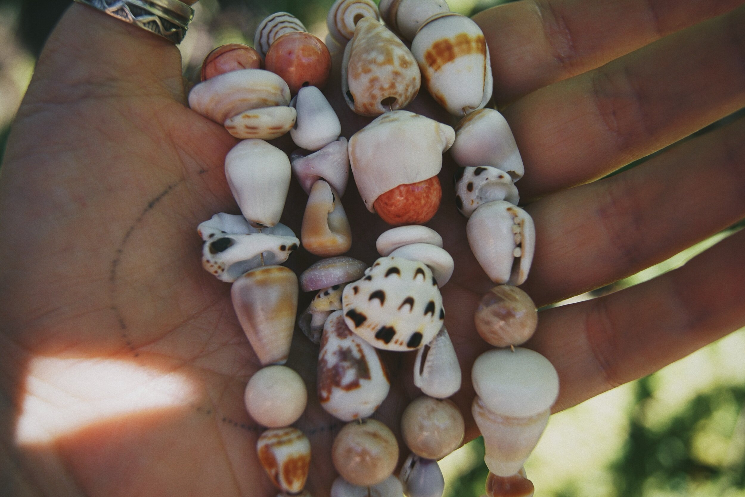 5B88F829-4929-4497-8659-FCEEAEB192BB