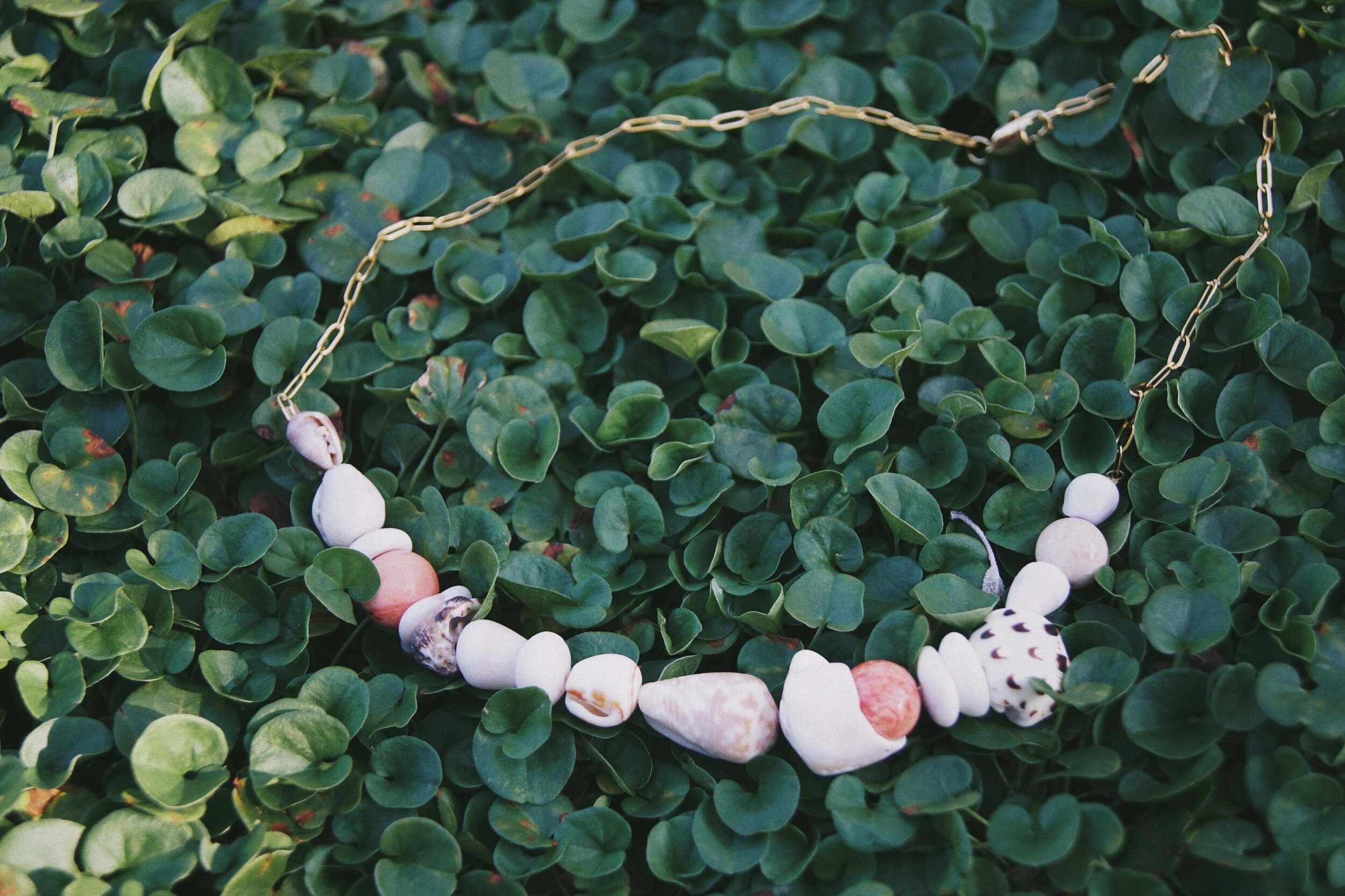 E37E7354-63E8-4491-AA04-85BA8F3EDEC6