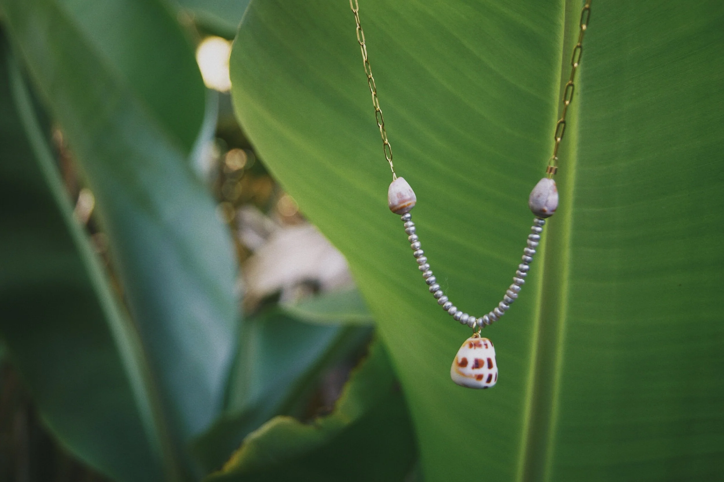 6F4C194C-DB3B-46C2-9A13-F8F94FAC6E30