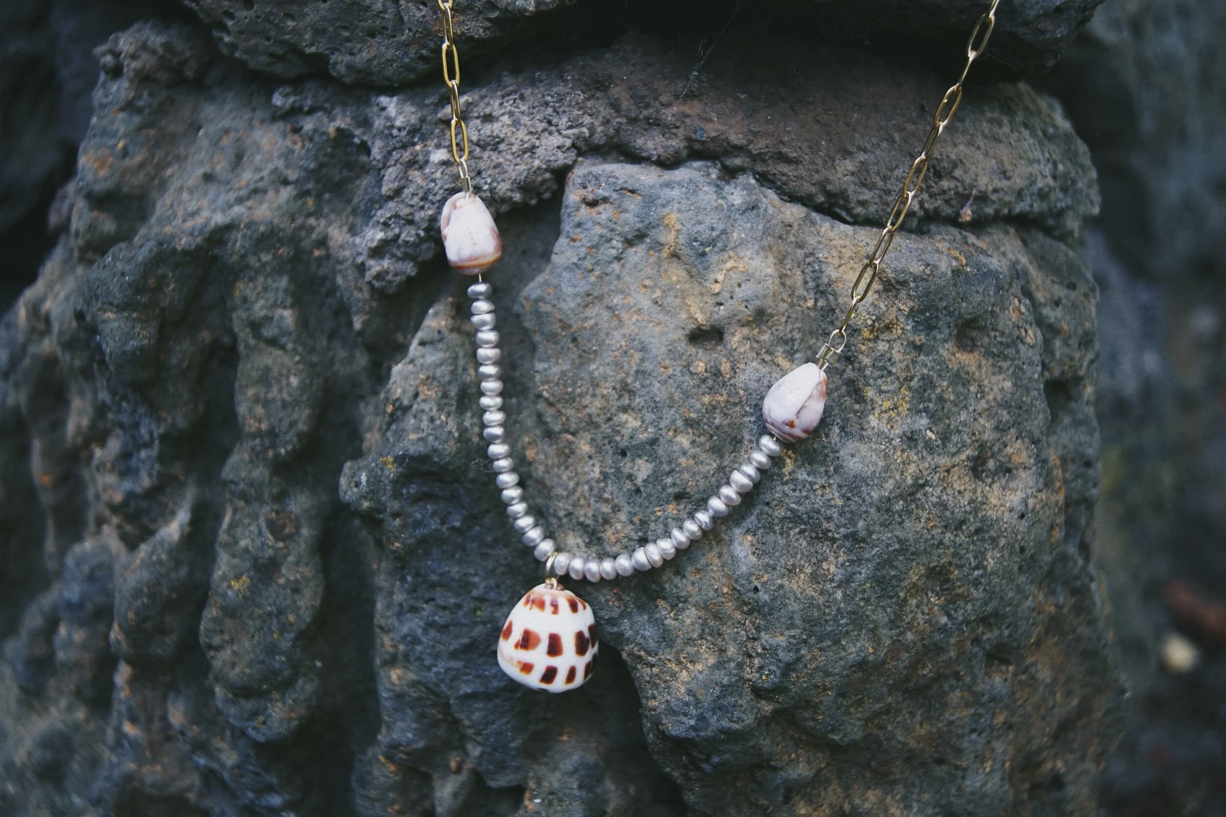 D040B3E2-74AF-4348-AD75-F30DA761C259