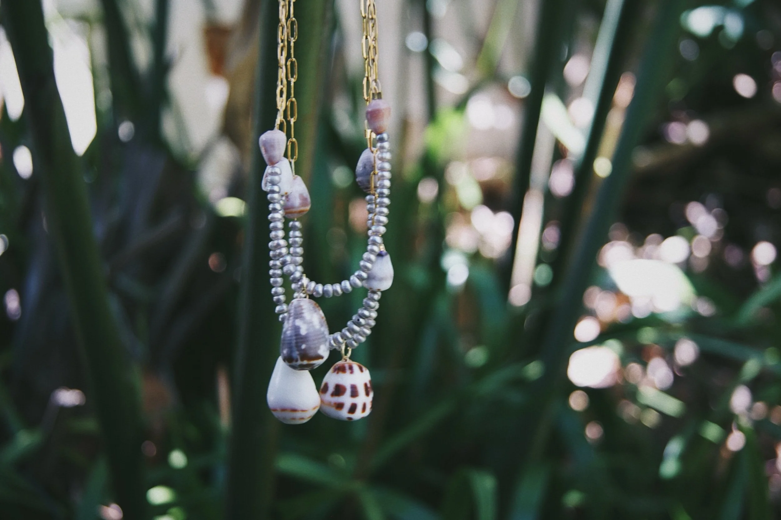 9E9A356C-65C5-4006-A9BA-D2130B8C7F39