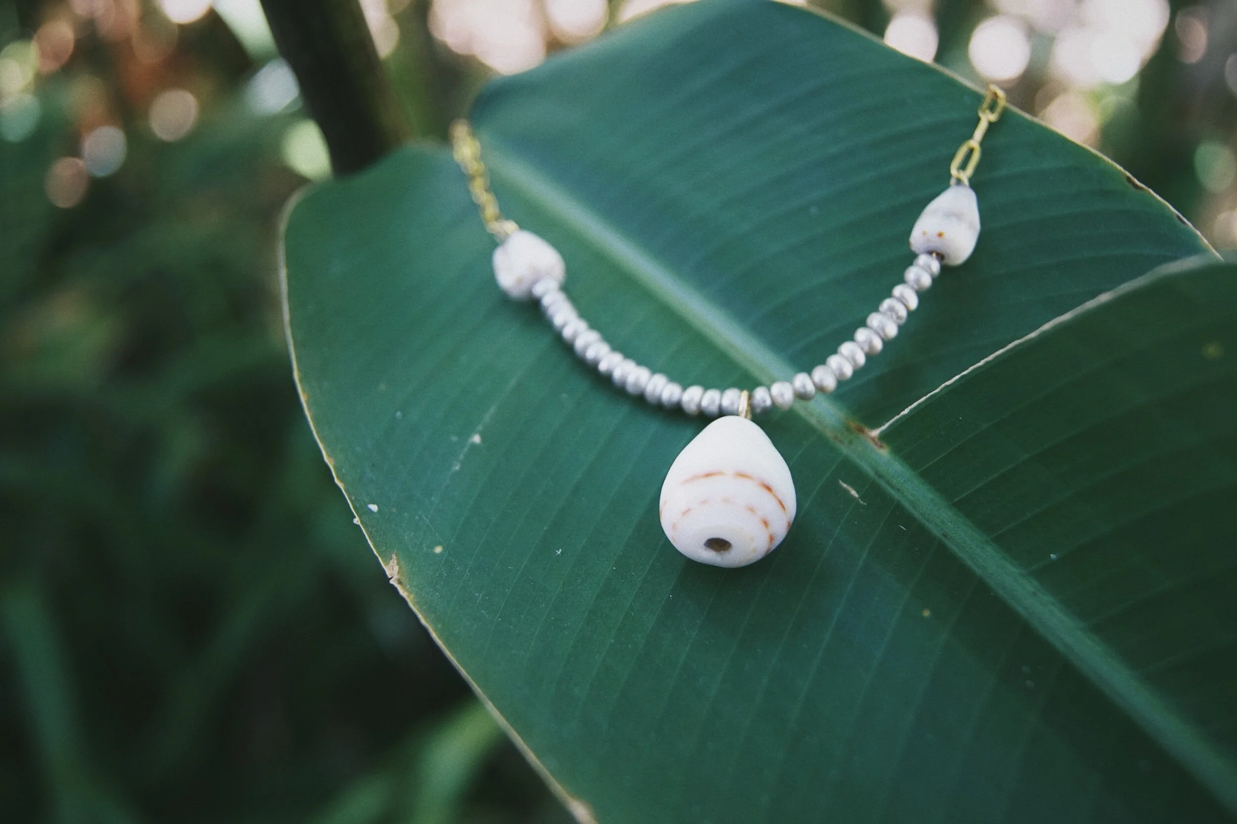 D506CD5A-05F2-4FA8-BD57-4C0947E89D72