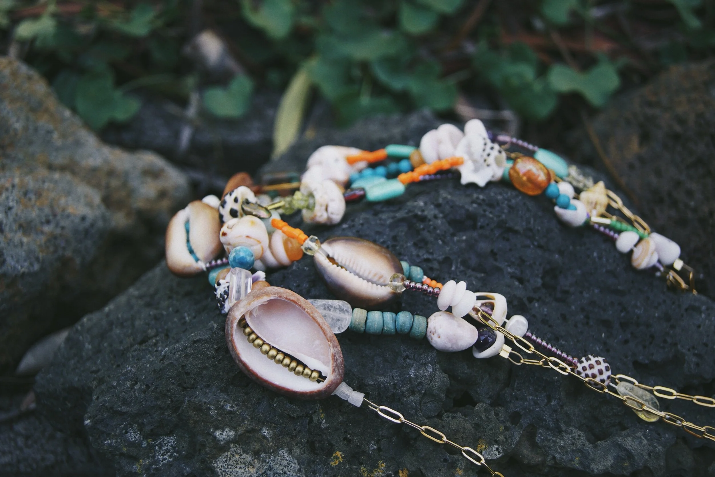 4329D8FB-0B0D-4435-A2E7-63853D4F6556