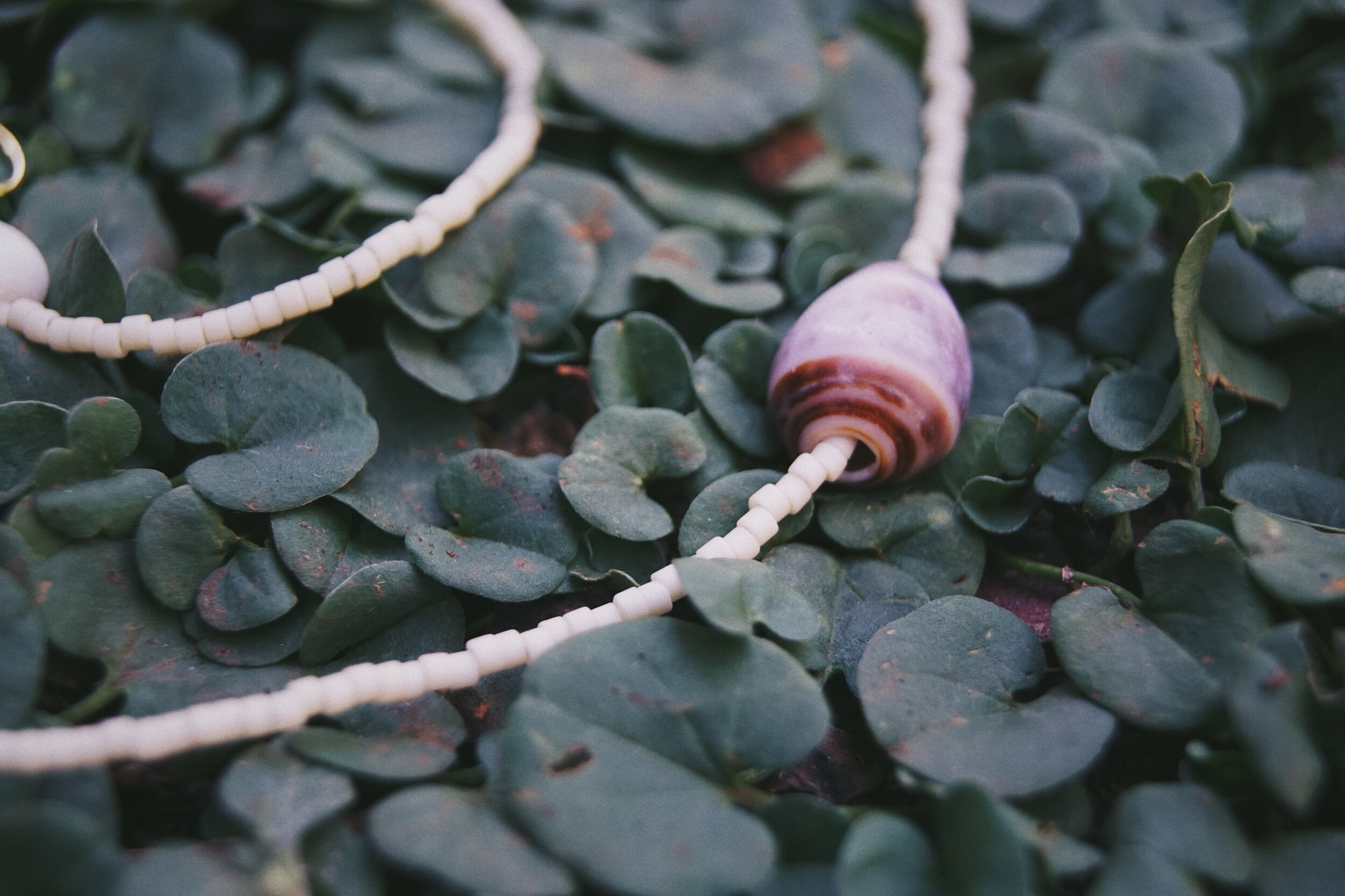 C9BDC77E-A29B-485C-AD0C-9E3EFFFF23BC