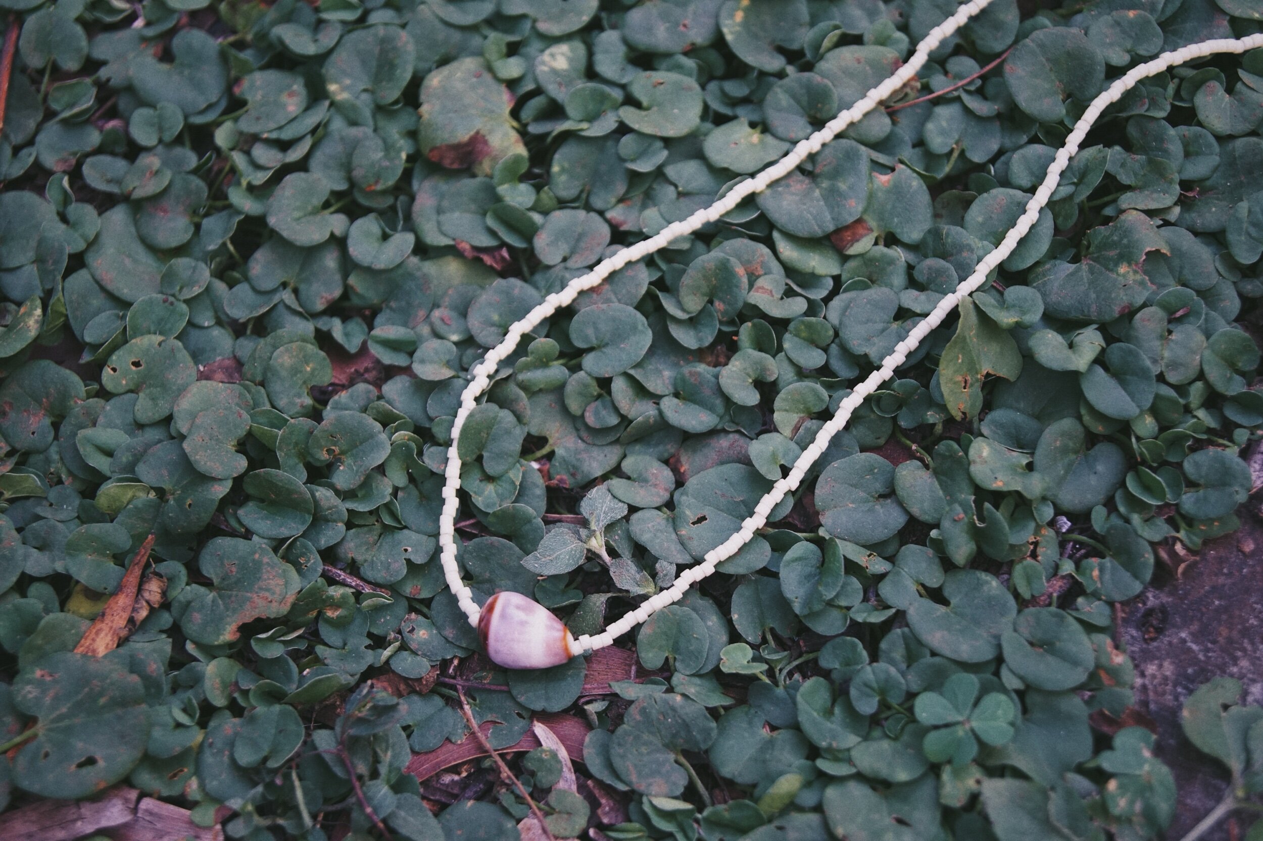 0CD22937-CC2C-41F6-A6C4-677C5AF6371B