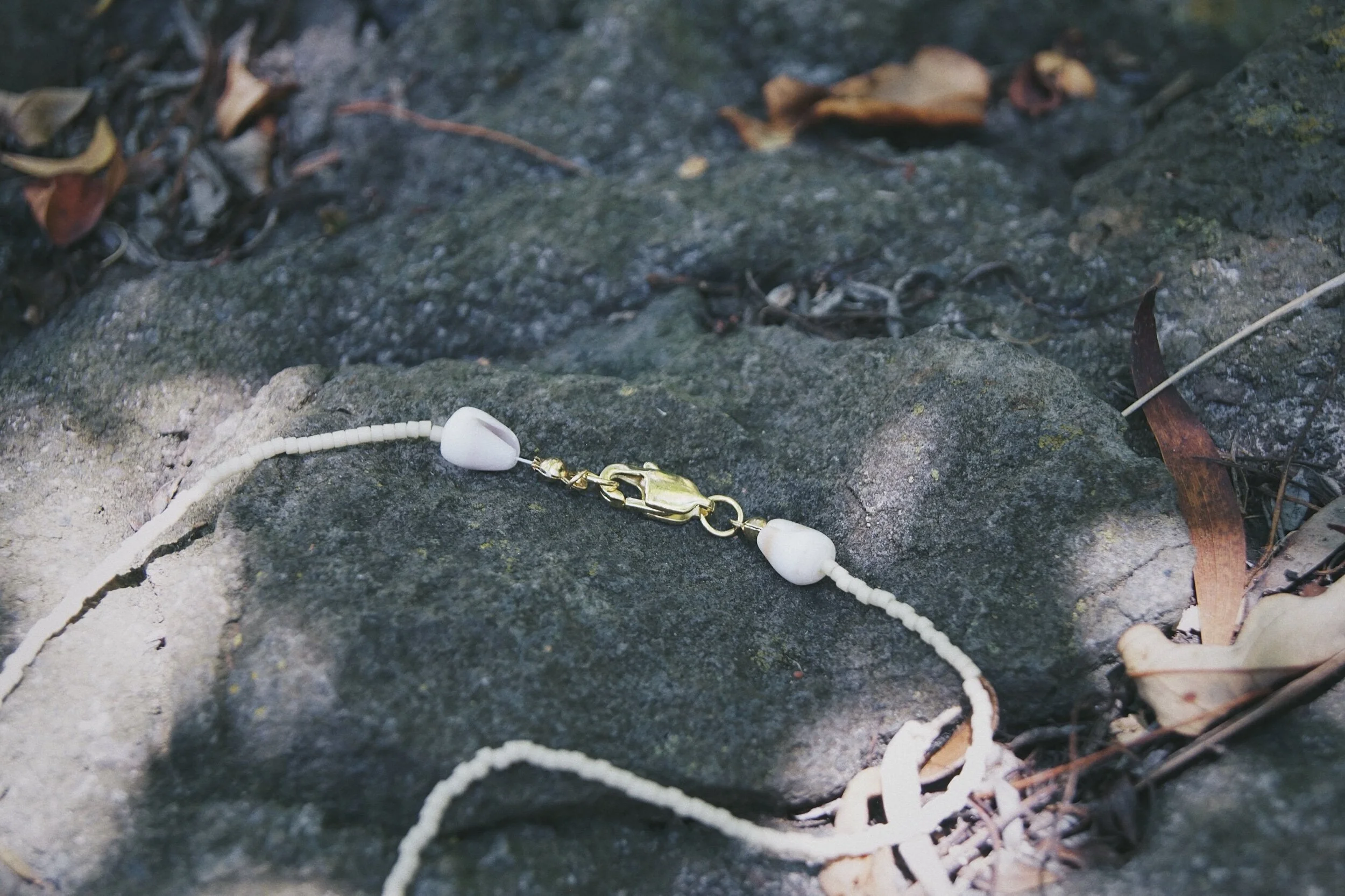 FBAFF5EE-A35C-48C4-9AAF-F1E3280C1451