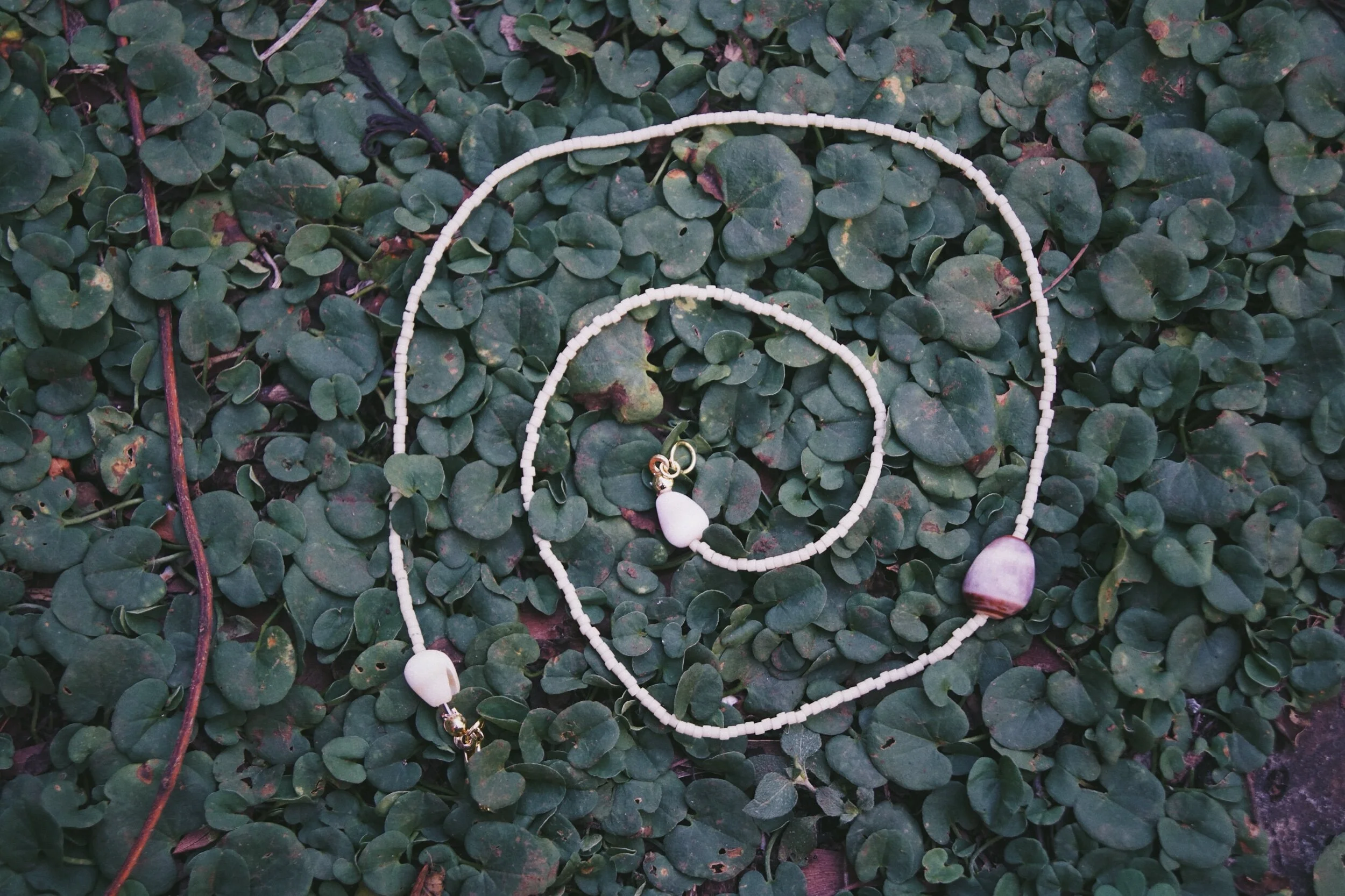 5A6C3A2B-002F-4837-8ECB-D72D2A6BEFB4