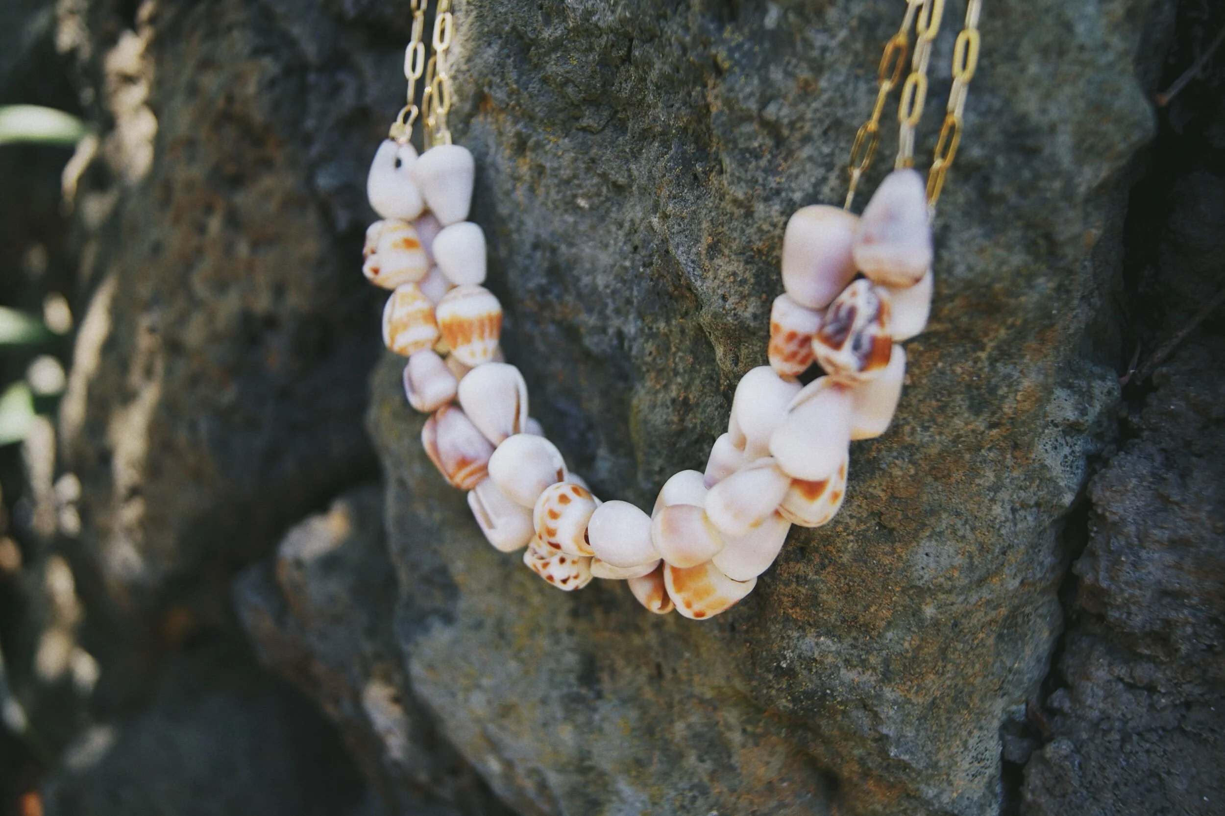 08995792-E005-489F-B027-32F960094C79