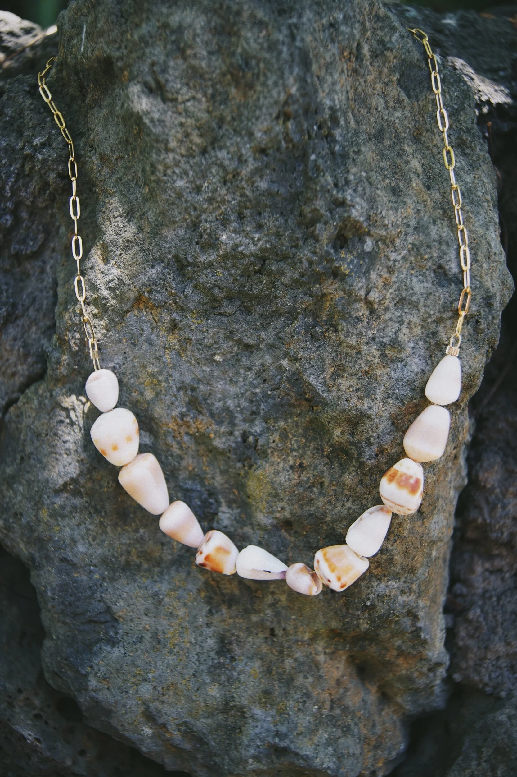 FD6A6EE5-C9AA-42A5-BDAC-345BC41FEFAE