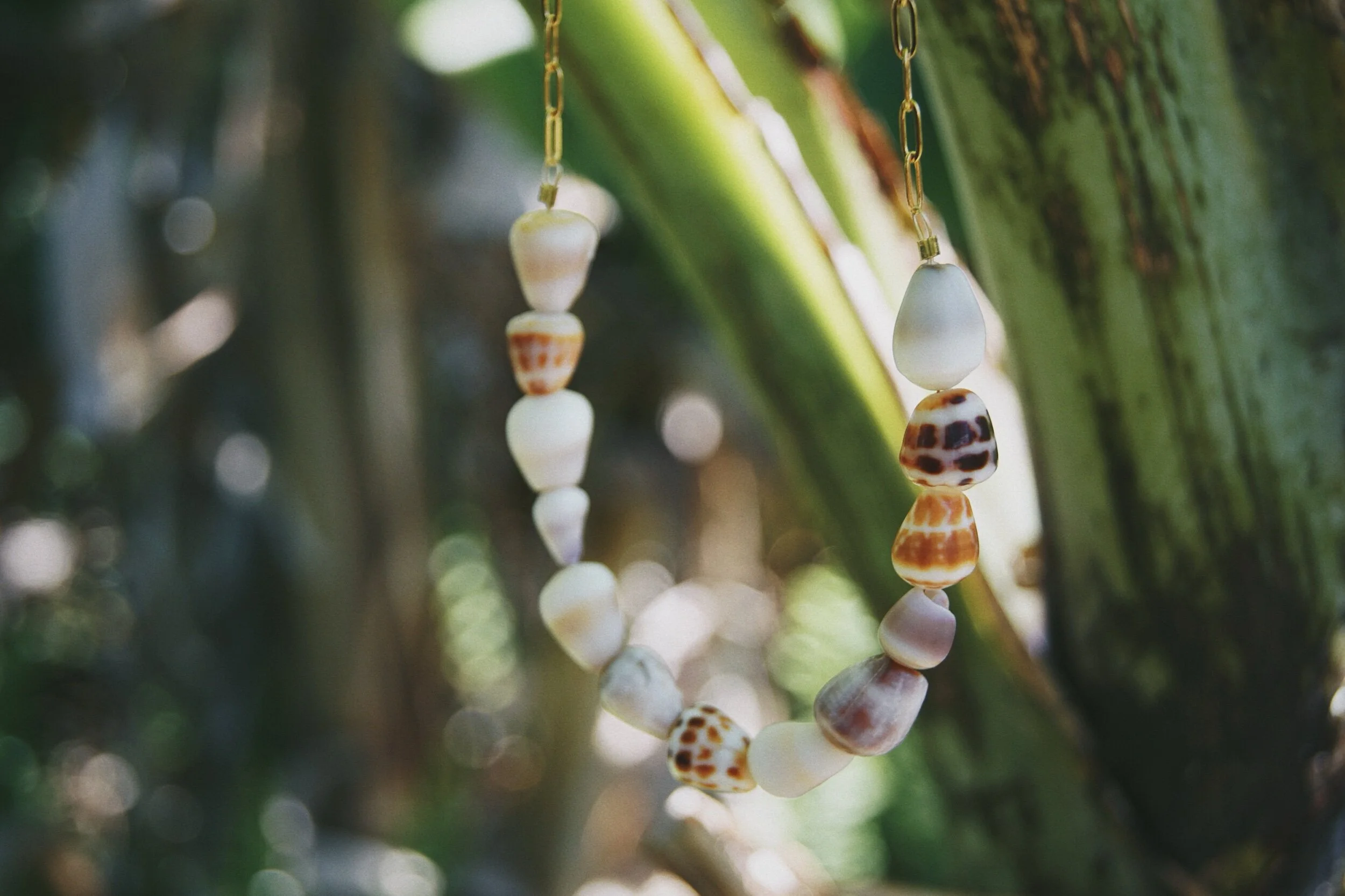 273B7DE3-7406-4A03-9834-6C6952083BC2