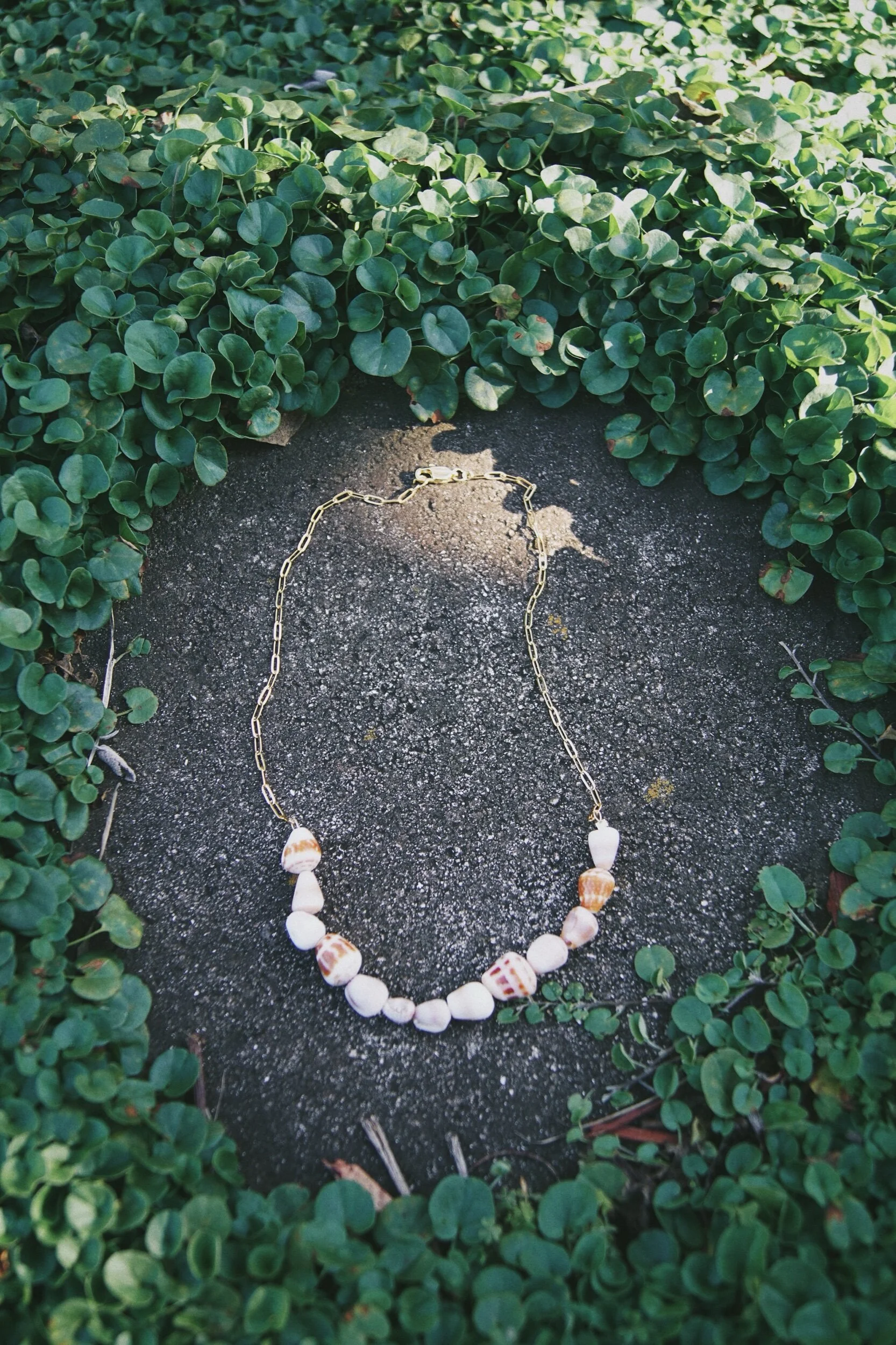 C8D8A0C3-004B-4CB2-9C72-6C27A09807A6