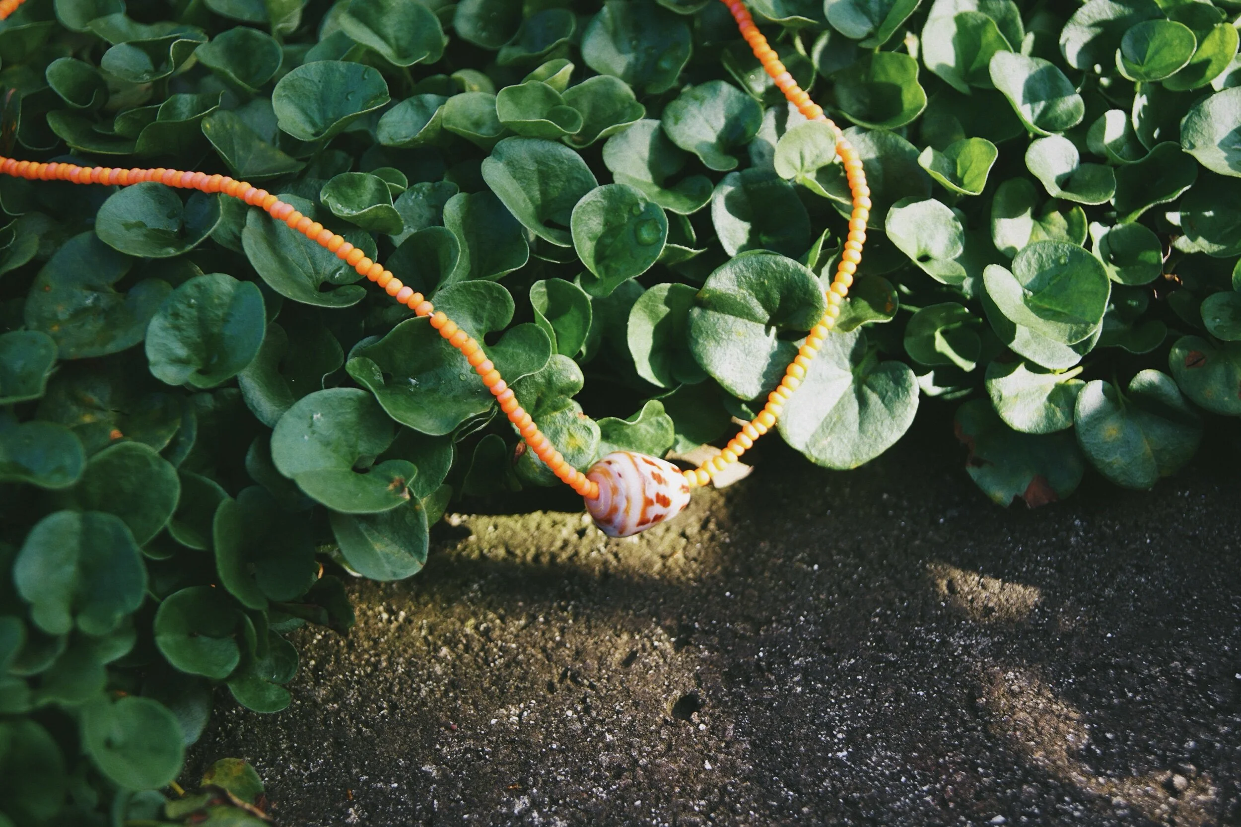 ACB1FDED-4070-4CEA-83CE-9C96604955F5