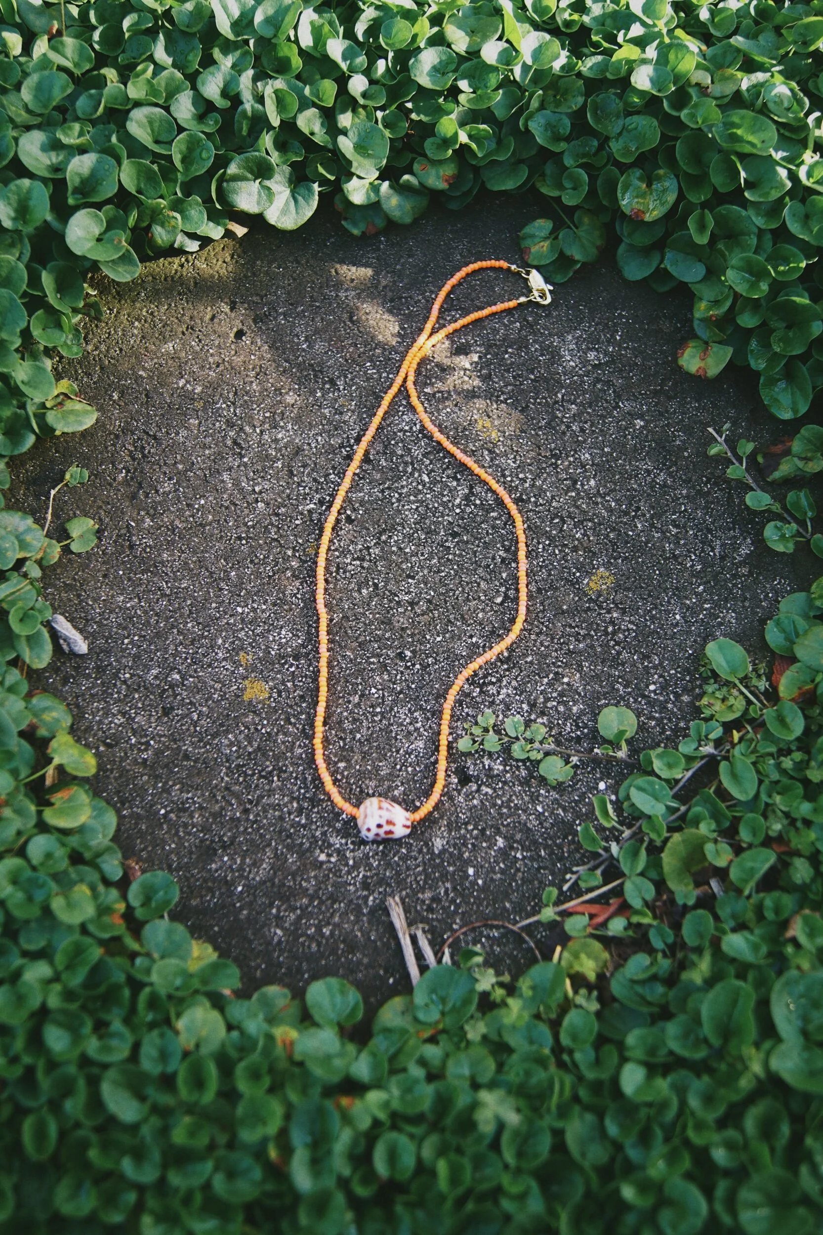 1CD8C735-2560-4CB6-9D62-1DDBB509DABD