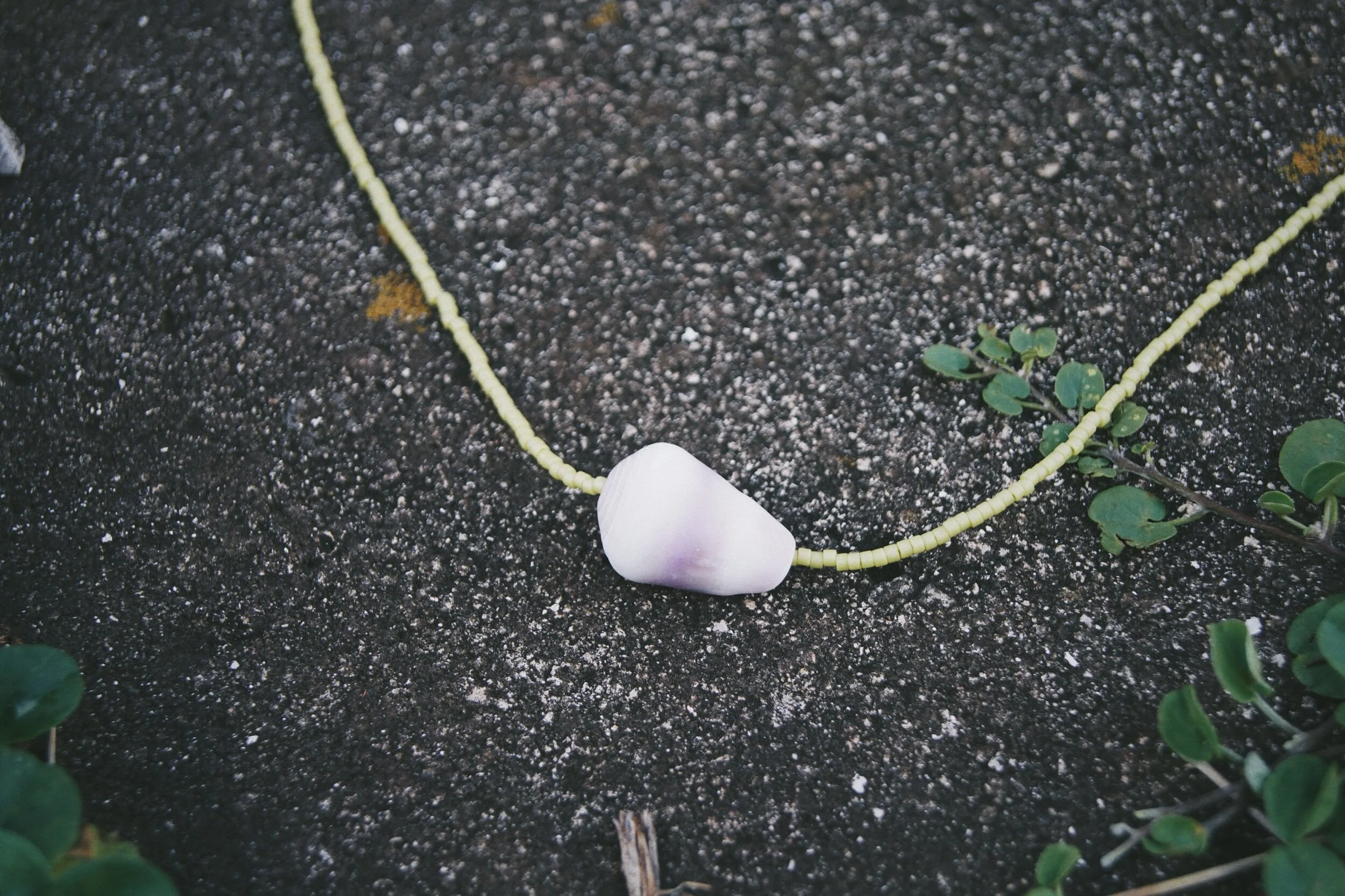 F6B3B895-EDD7-43C9-94B0-73FB2CF976D3