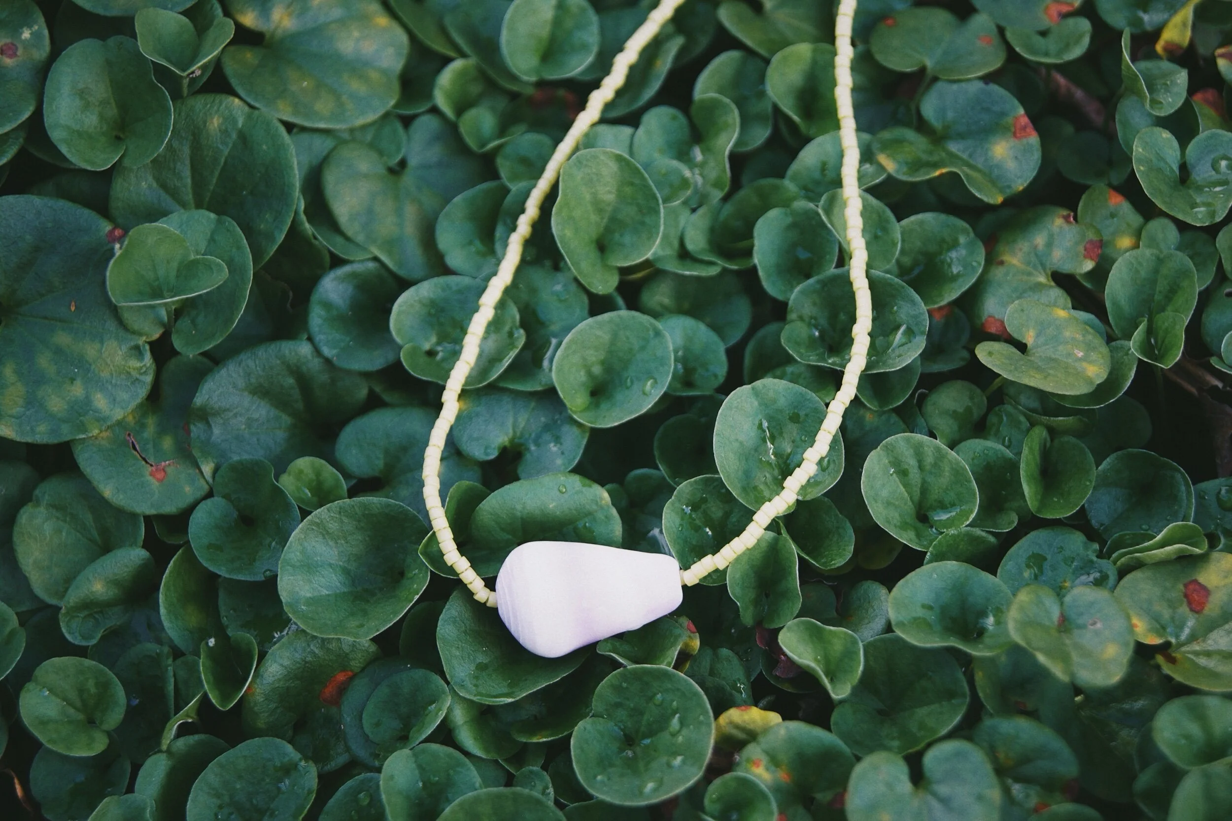 CEF99DB4-E6B8-4A44-8ECF-B9EE213515CB