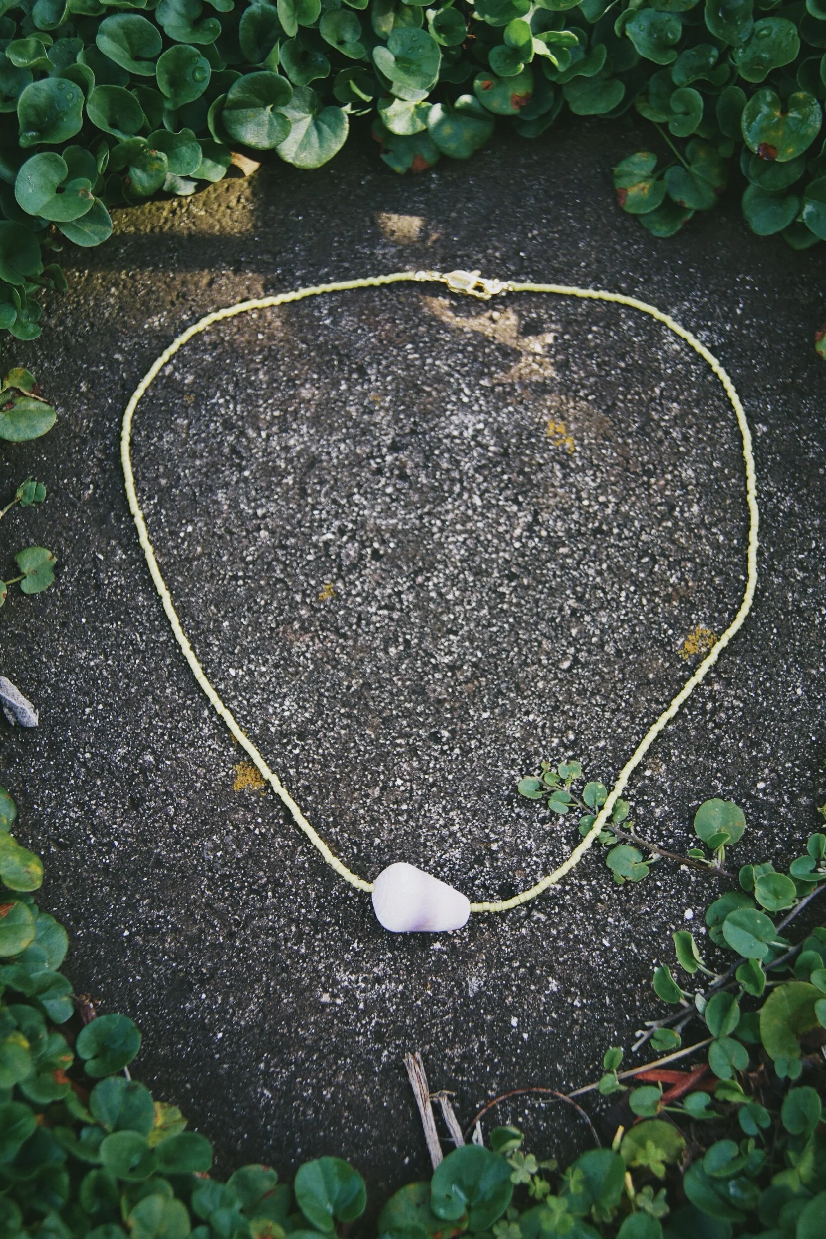 B2BF5001-C993-44D9-8AB9-C42D8FE6A86D