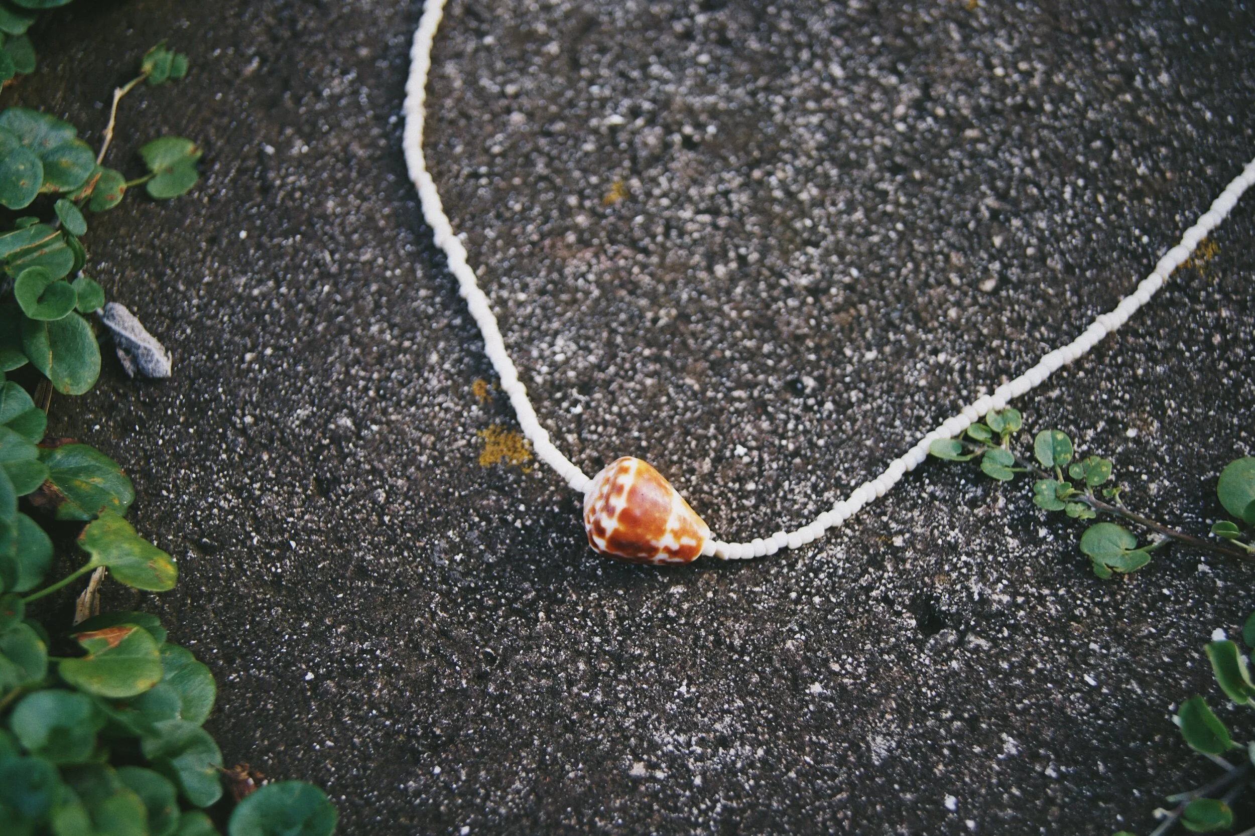 80C29541-1189-4747-AC88-F109FDA54C0C