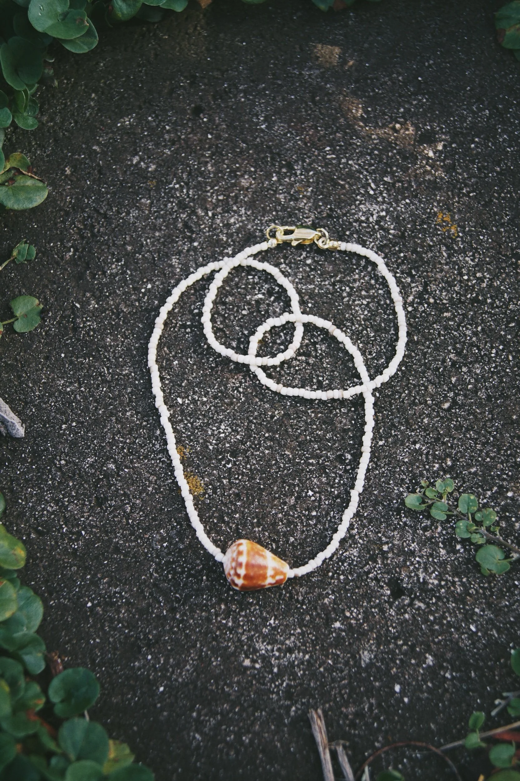 36A8AD6A-F2D1-44FE-B8BA-F7BA140EB0FD