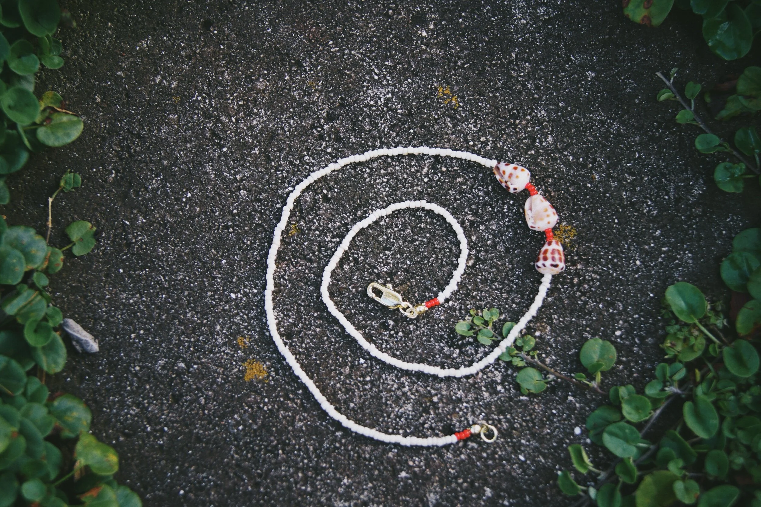 95719B5C-5C27-452C-9C26-56ECF07630F0