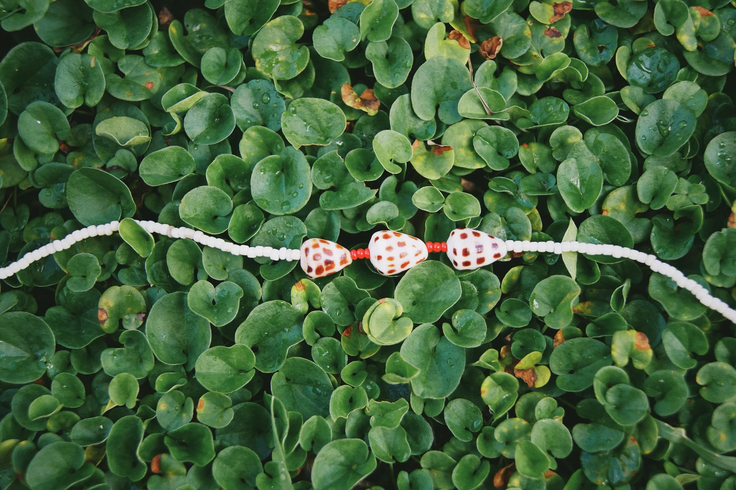 D8709DFF-E084-4203-85B3-0AA48BD87FFB