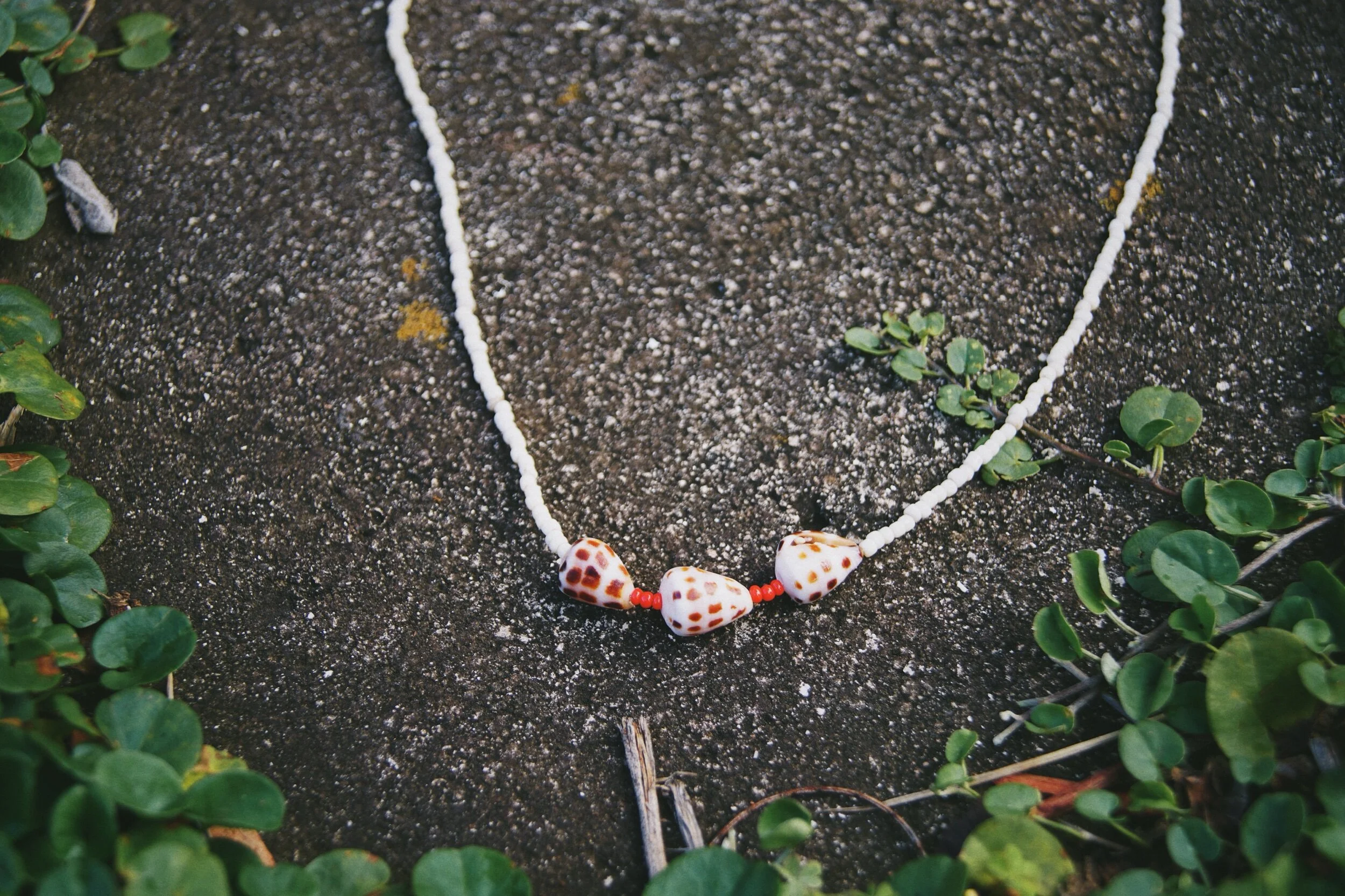 8961B585-B013-4DDE-BB06-7F453F97DCAB