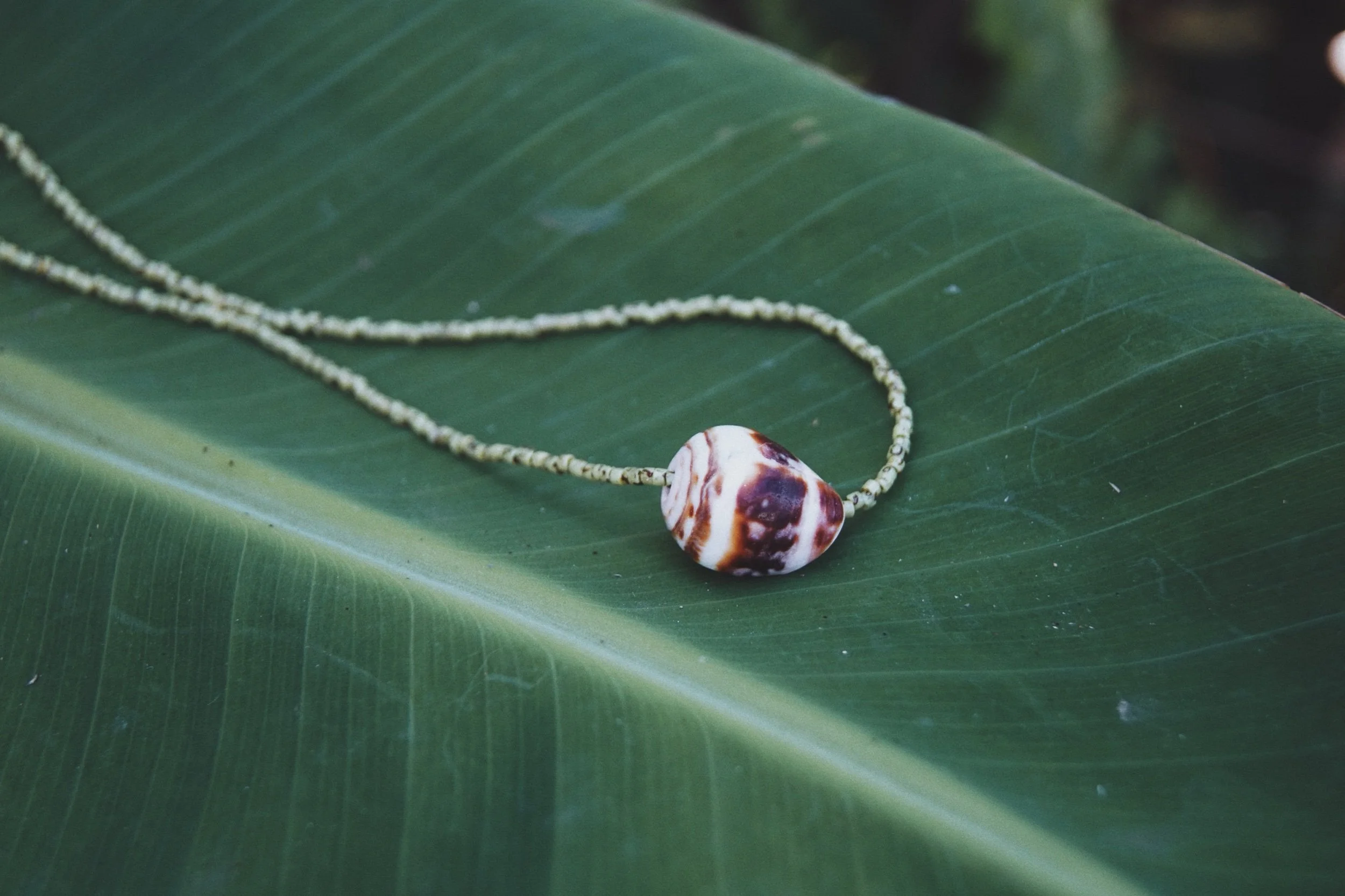 B97C3522-11EF-4735-9595-8CFF29777B6F